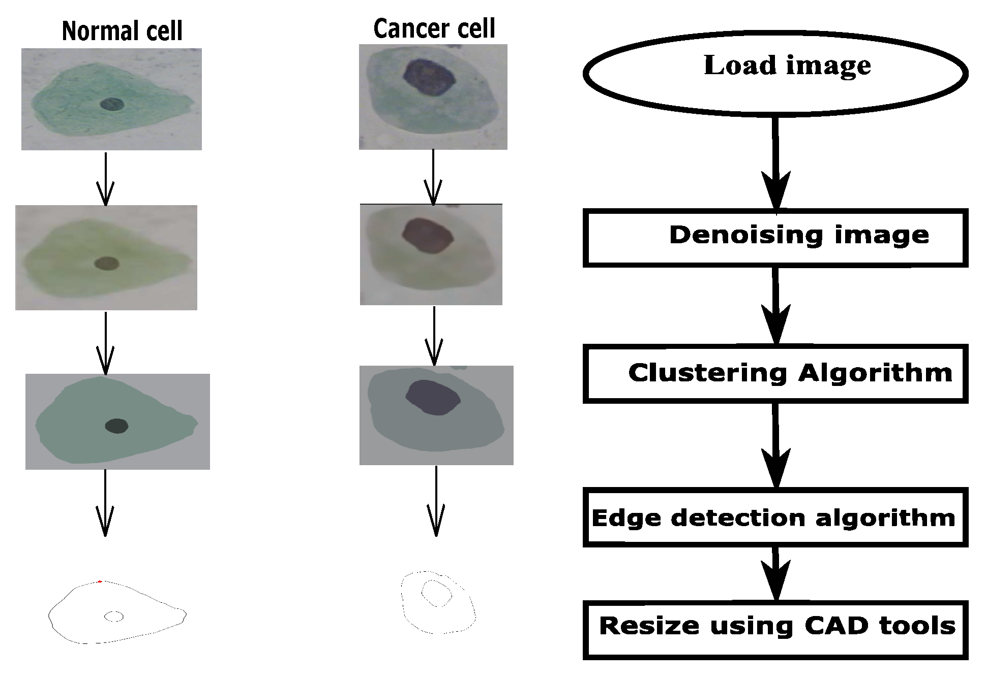 Micromachines 14 02136 g001