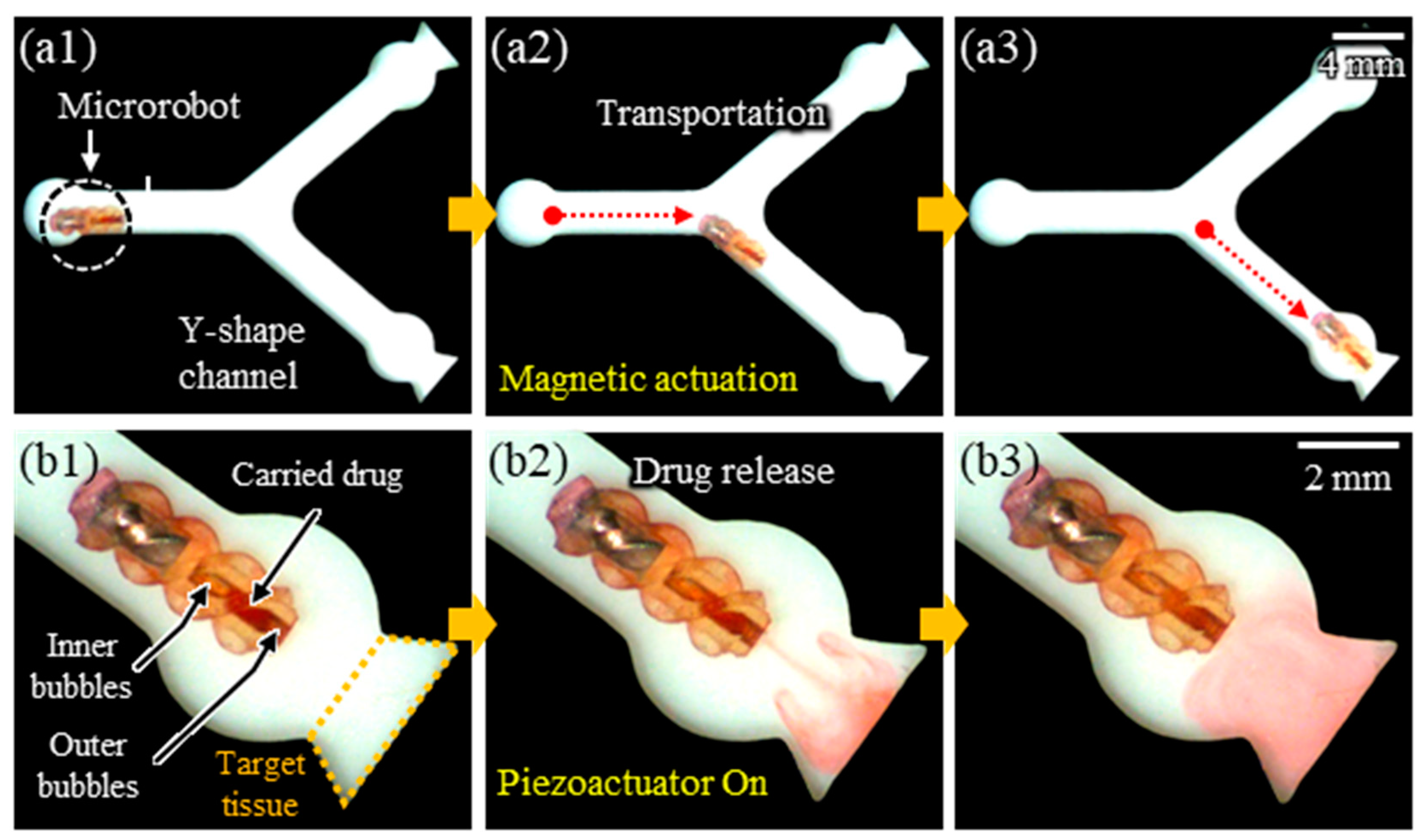 Micromachines 14 02169 g011