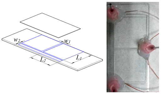 Micromachines 14 02235 i001