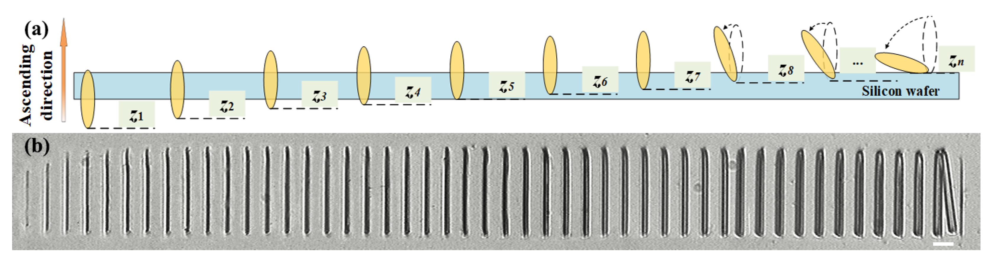 Micromachines 14 02256 g002