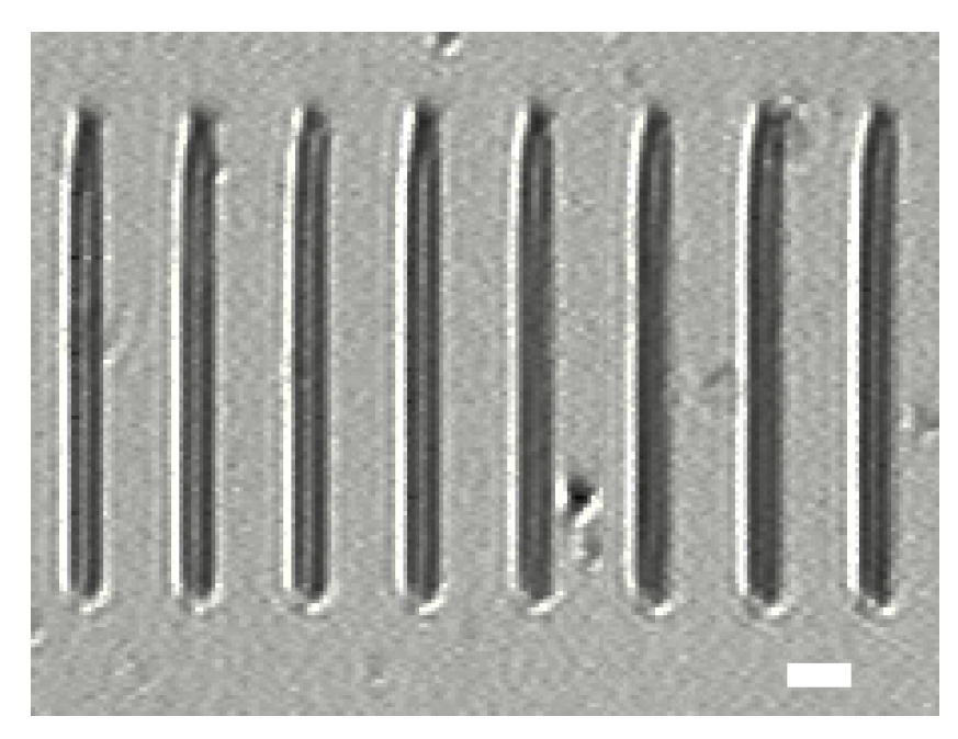 Micromachines 14 02256 g004