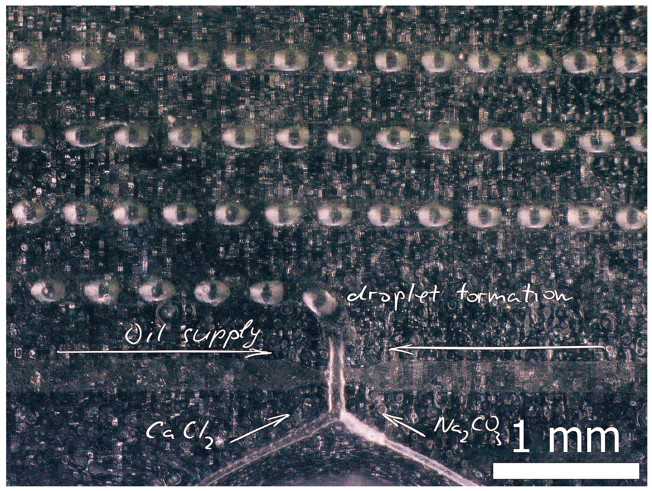 Micromachines 15 00016 g002