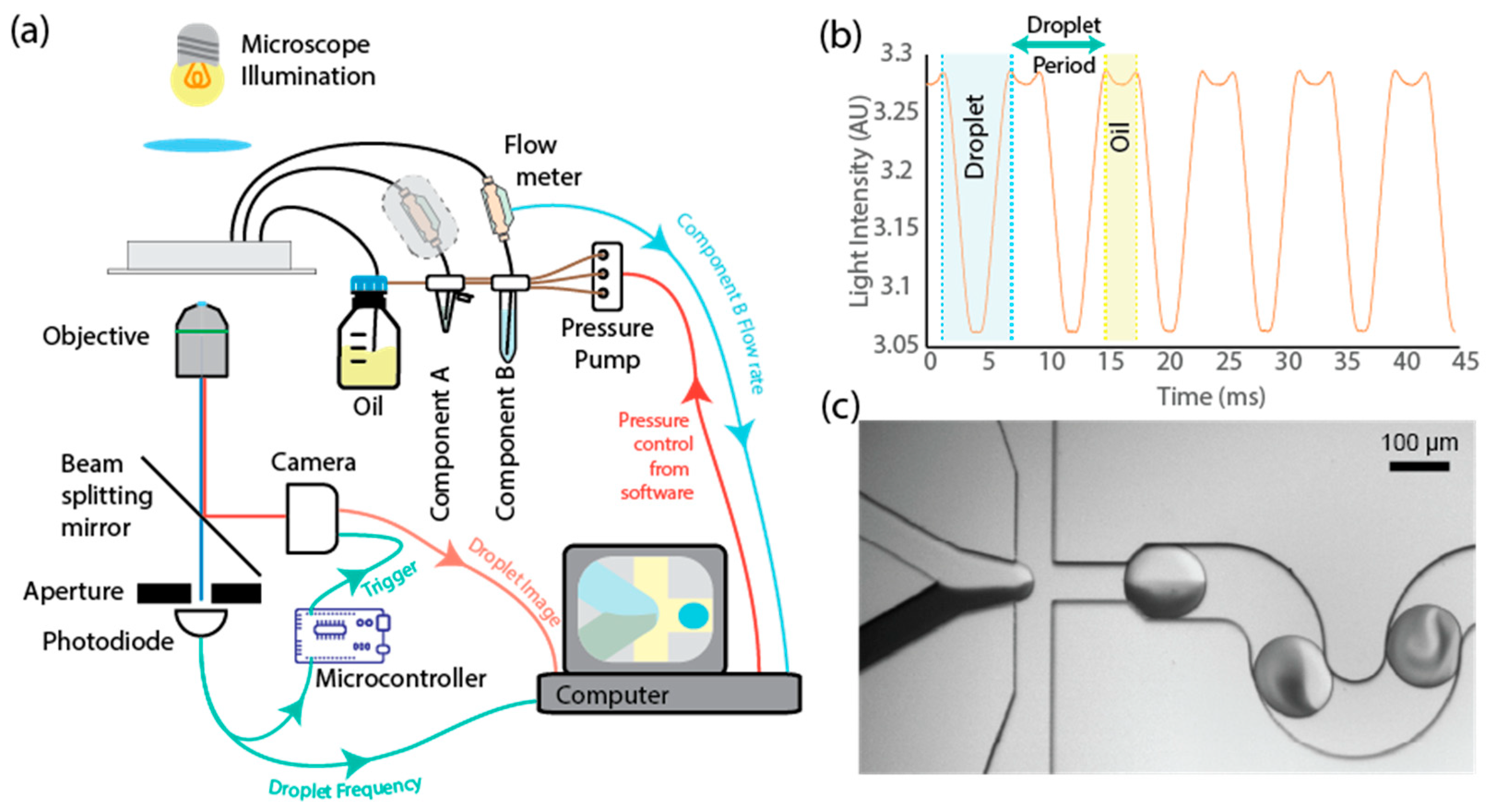 Micromachines 15 00027 g001