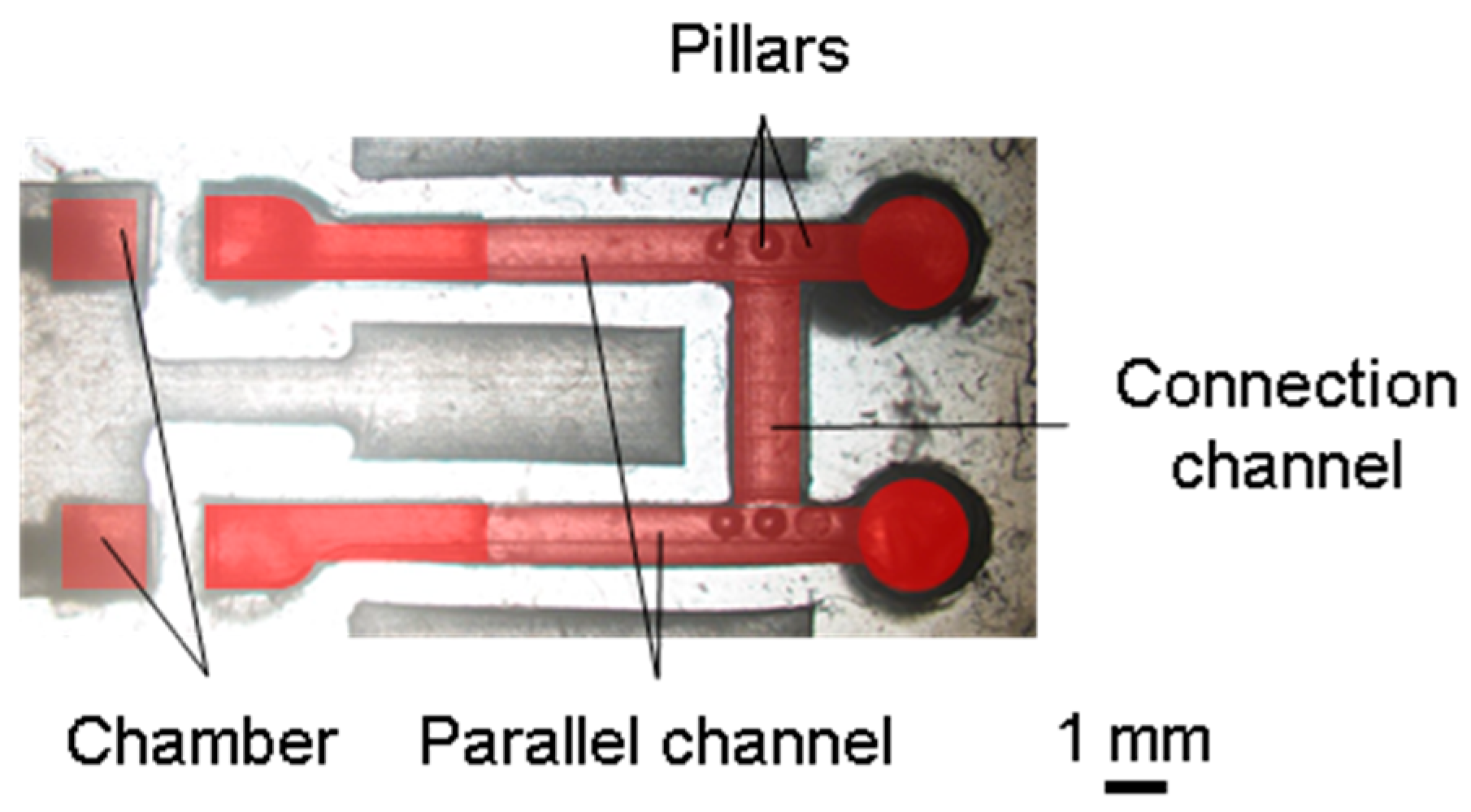 Micromachines 15 00037 g008