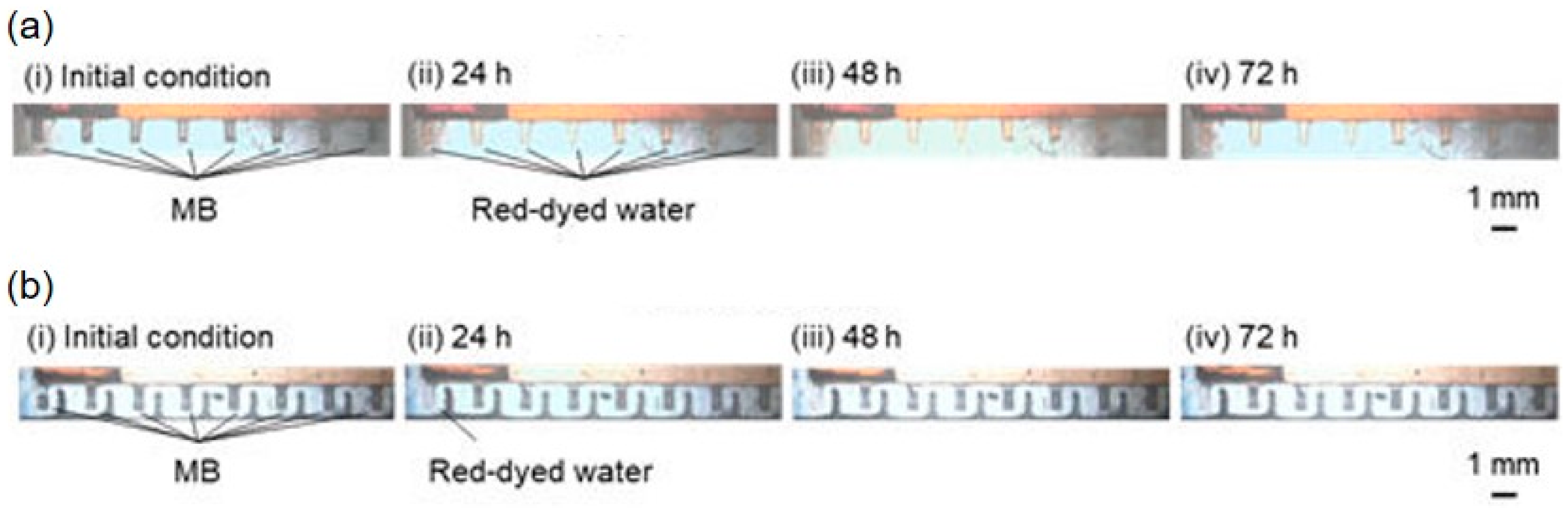 Micromachines 15 00037 g009