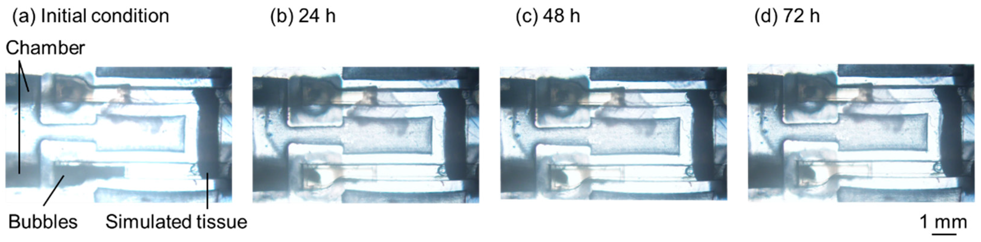 Micromachines 15 00037 g011