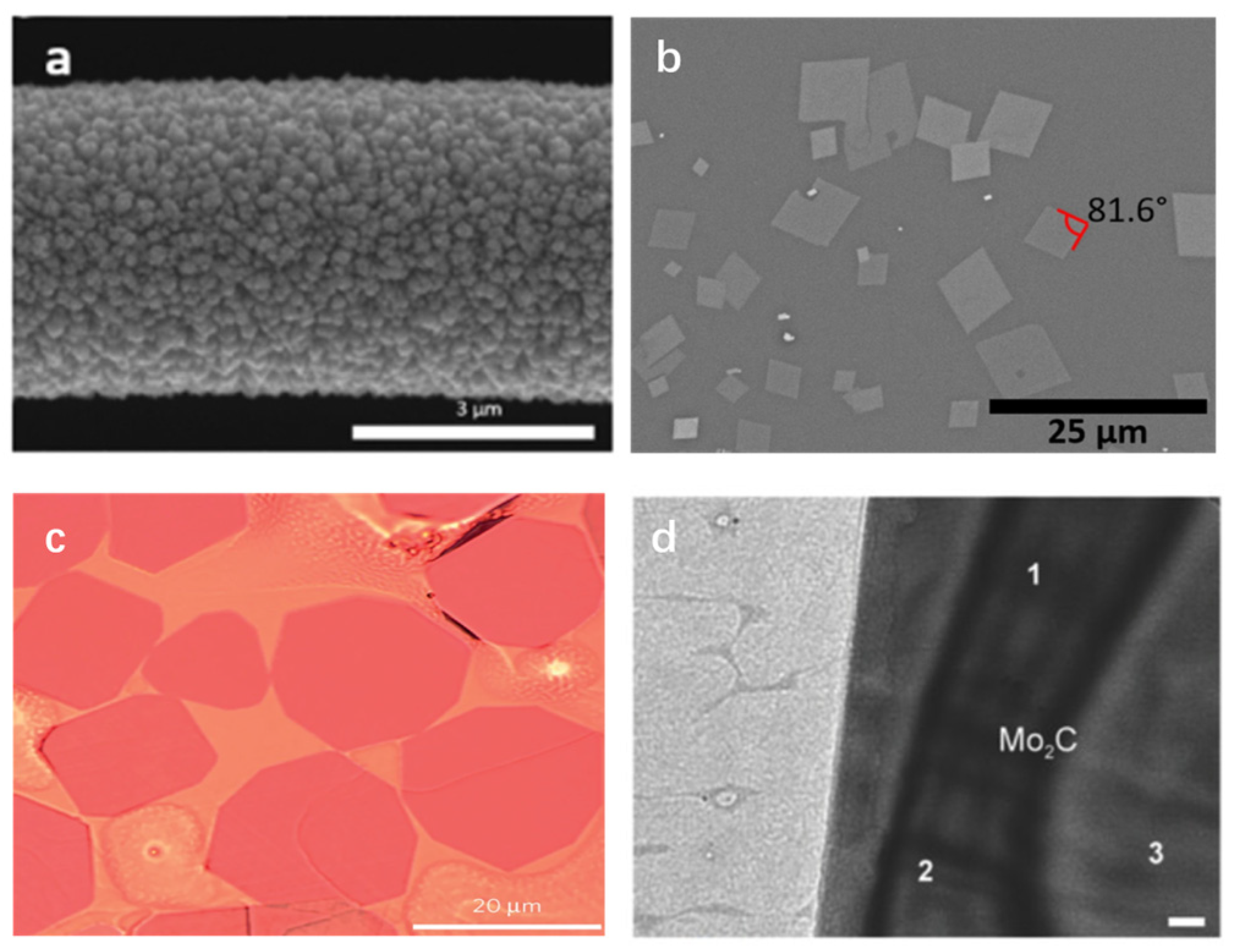 Micromachines 15 00042 g002