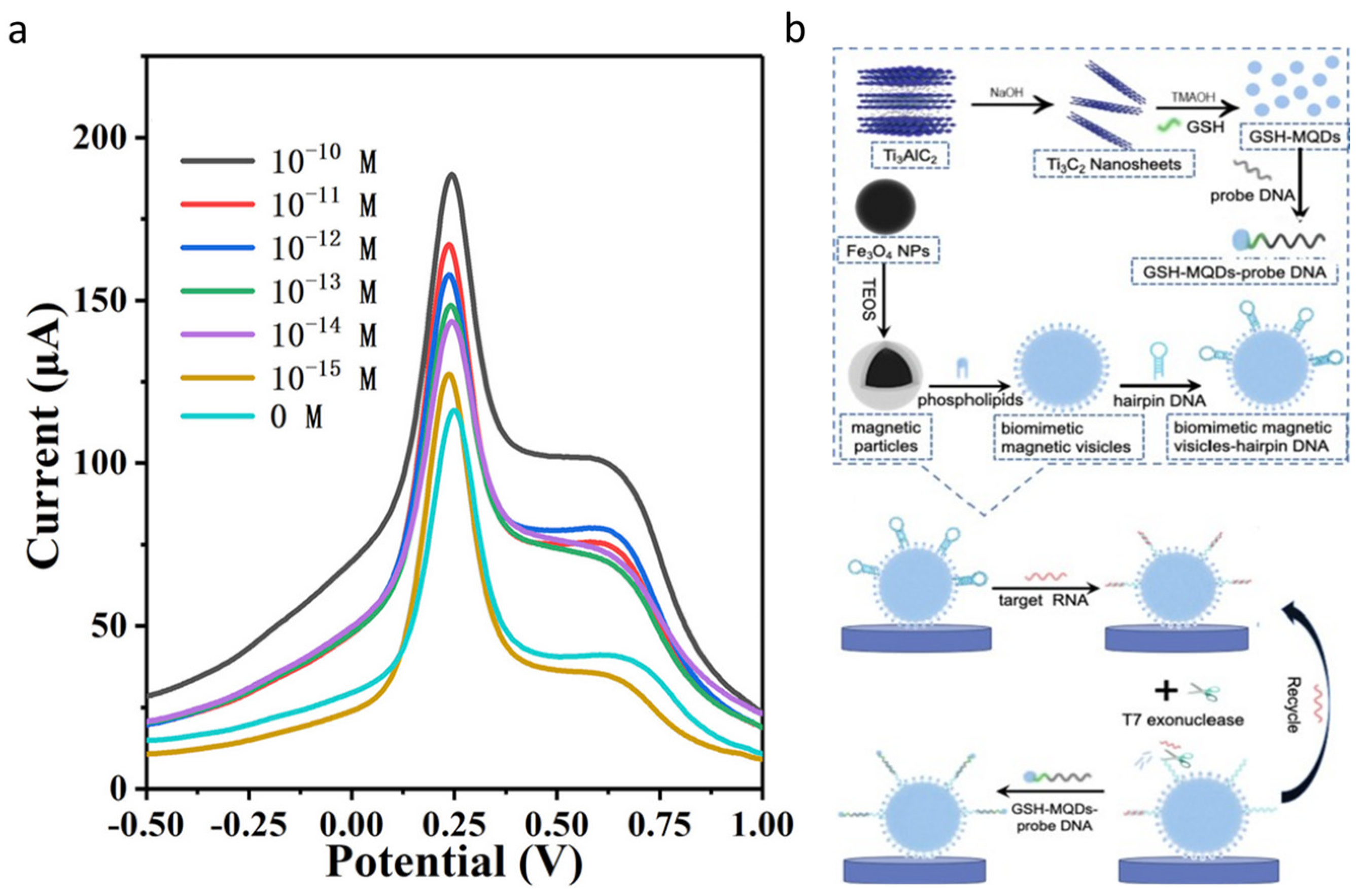 Micromachines 15 00042 g004
