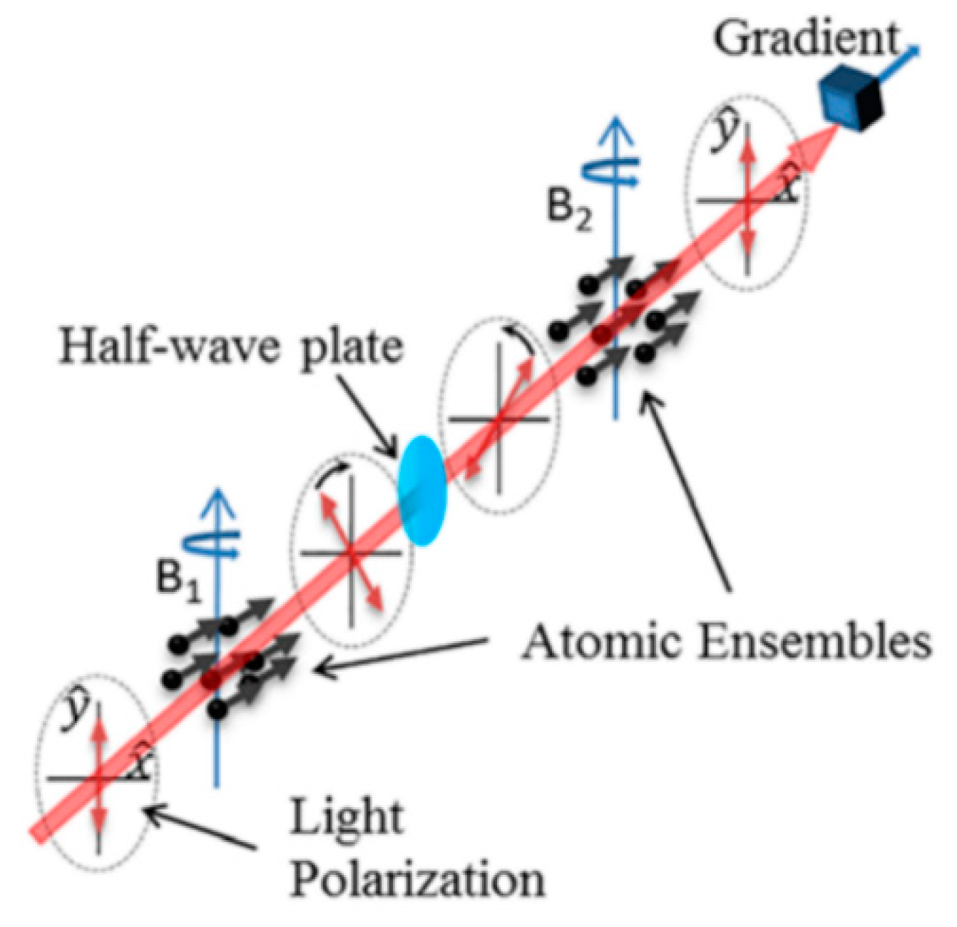 Gradience Meter Examples Recent Developments in Fabrication Methods and Measurement Schemes for ...