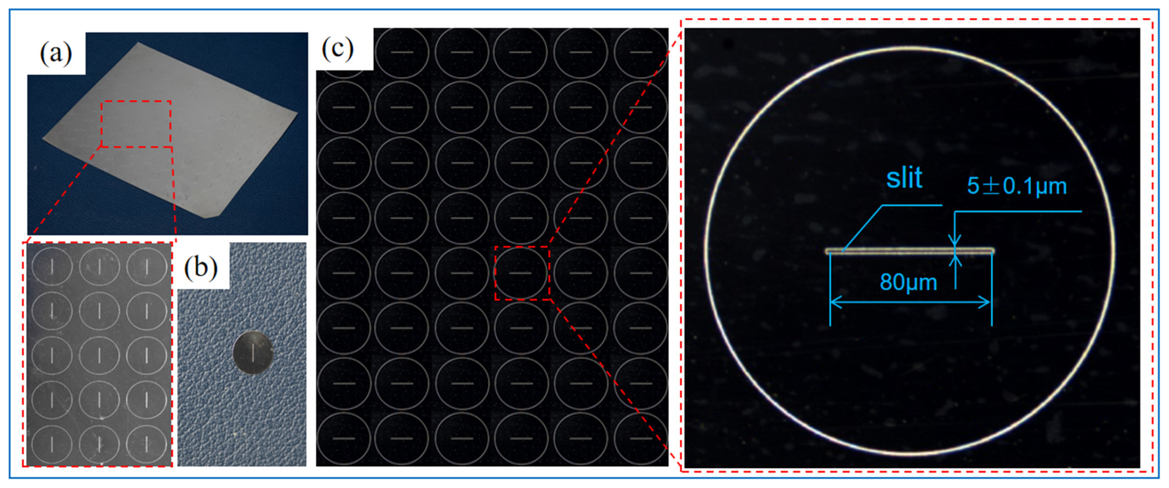Micromachines 15 00076 g007