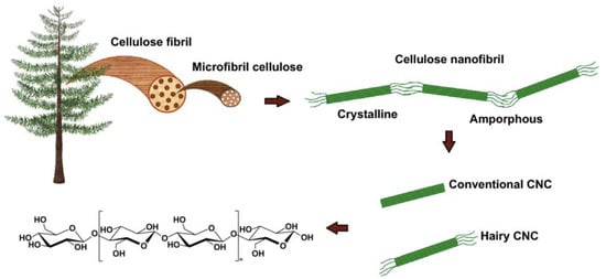 Micromachines 15 00082 g002