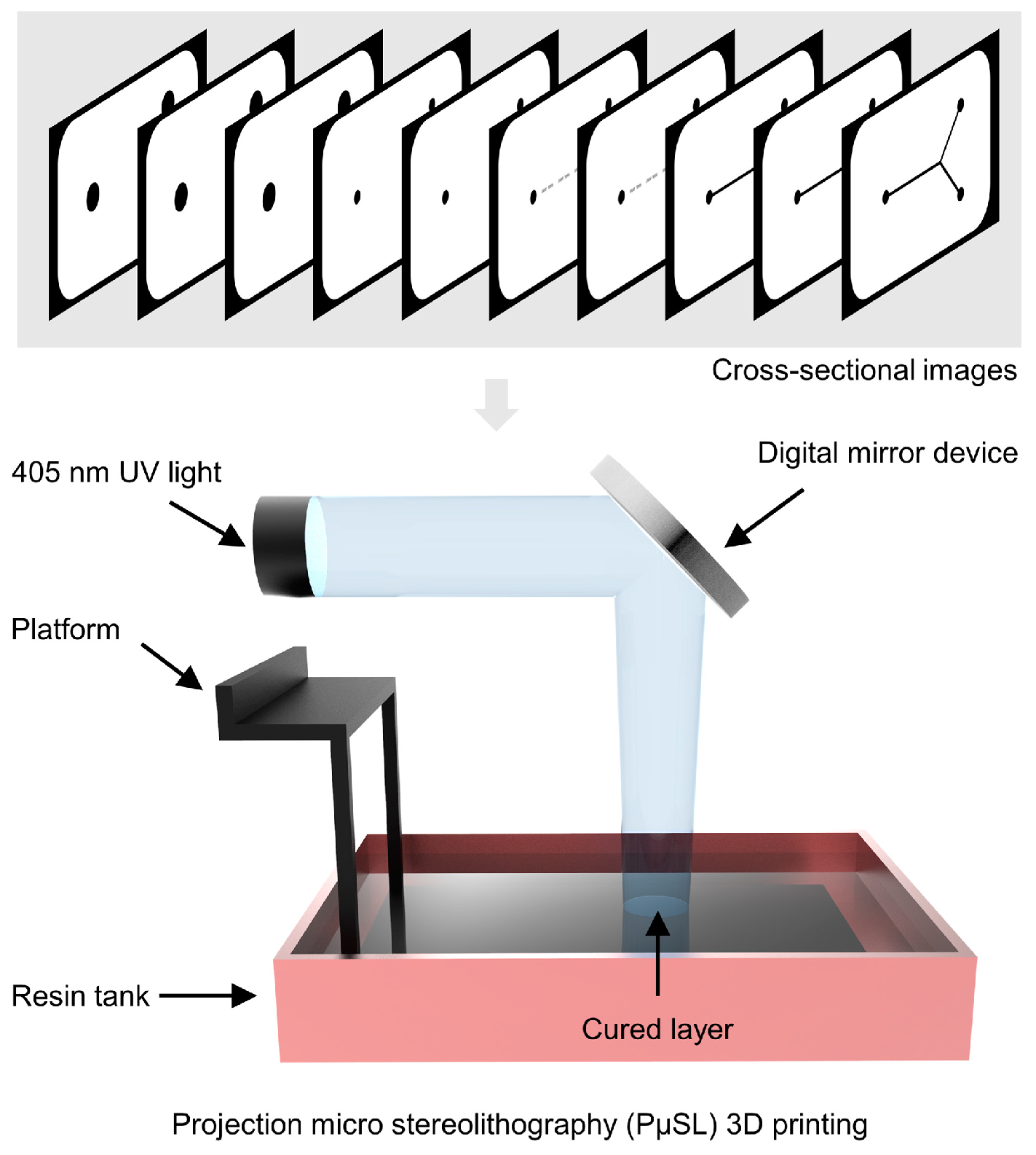 Micromachines 15 00090 g001