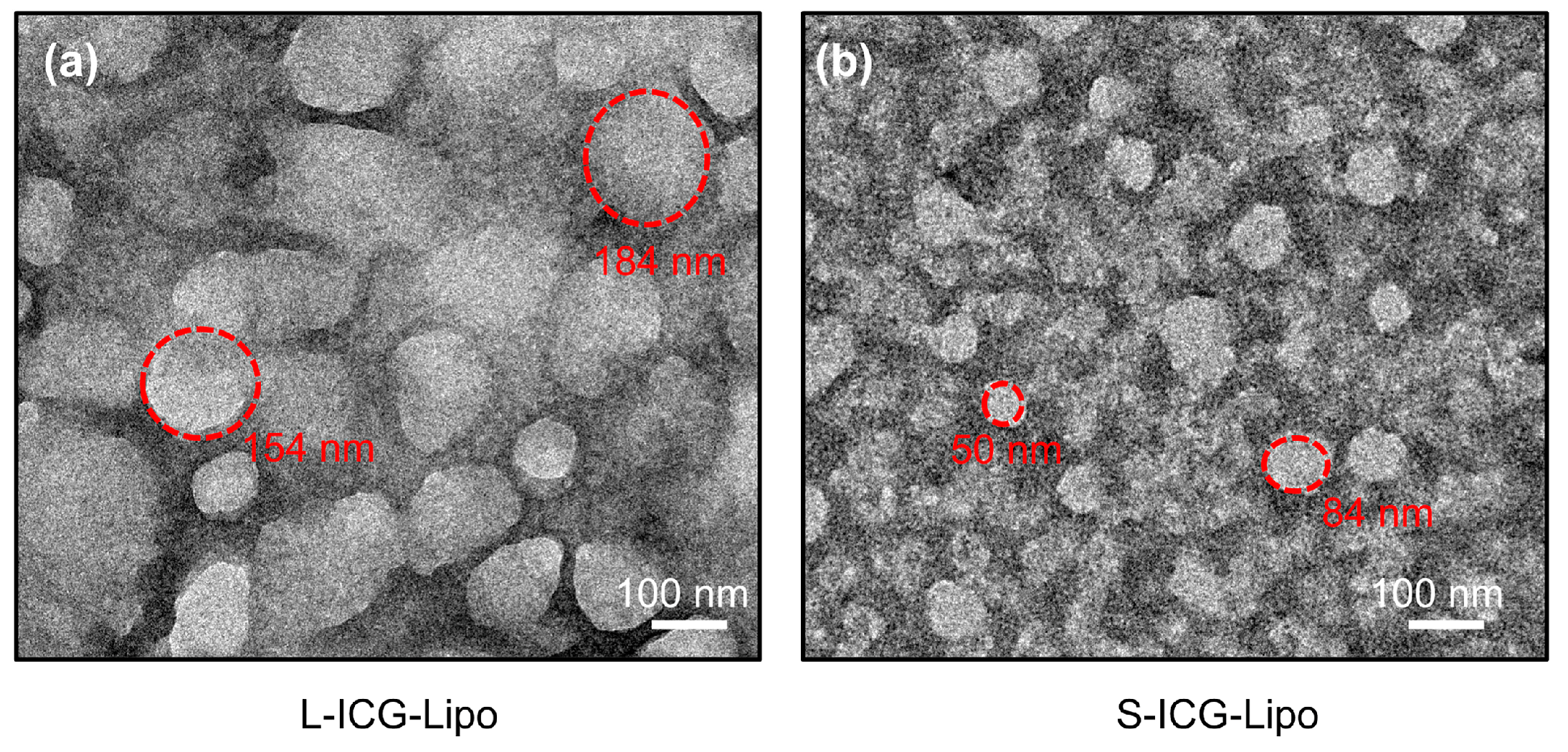 Micromachines 15 00090 g005