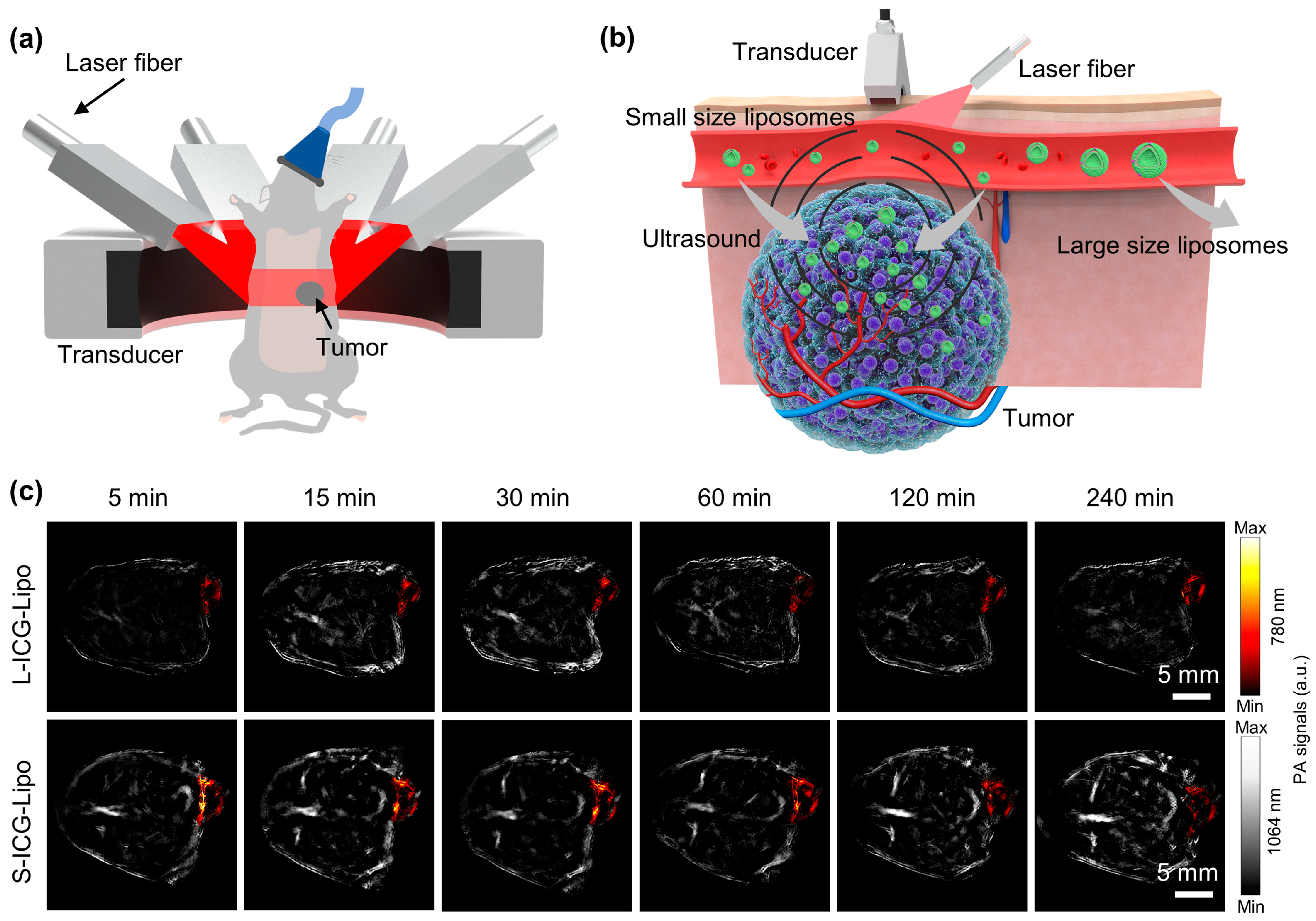 Micromachines 15 00090 g008