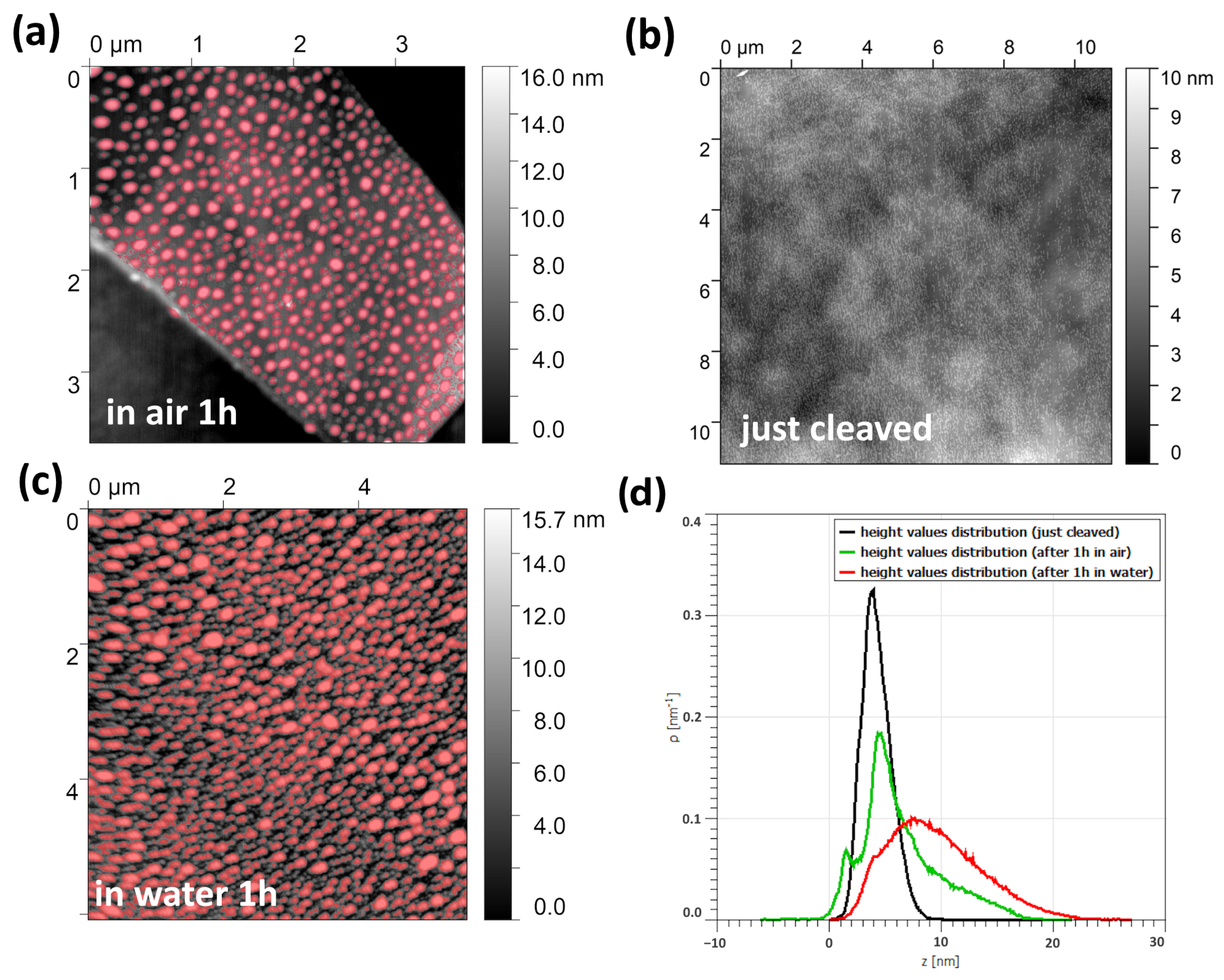 Micromachines 15 00094 g008