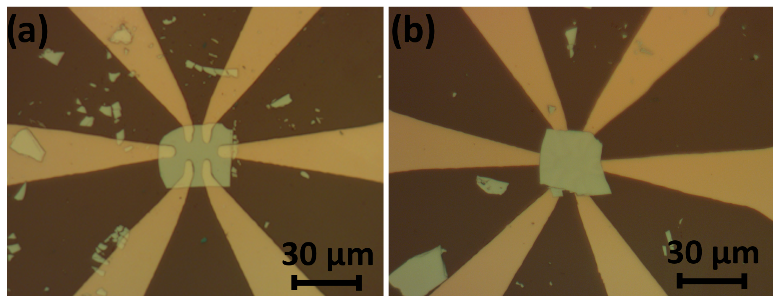 Micromachines 15 00094 g011