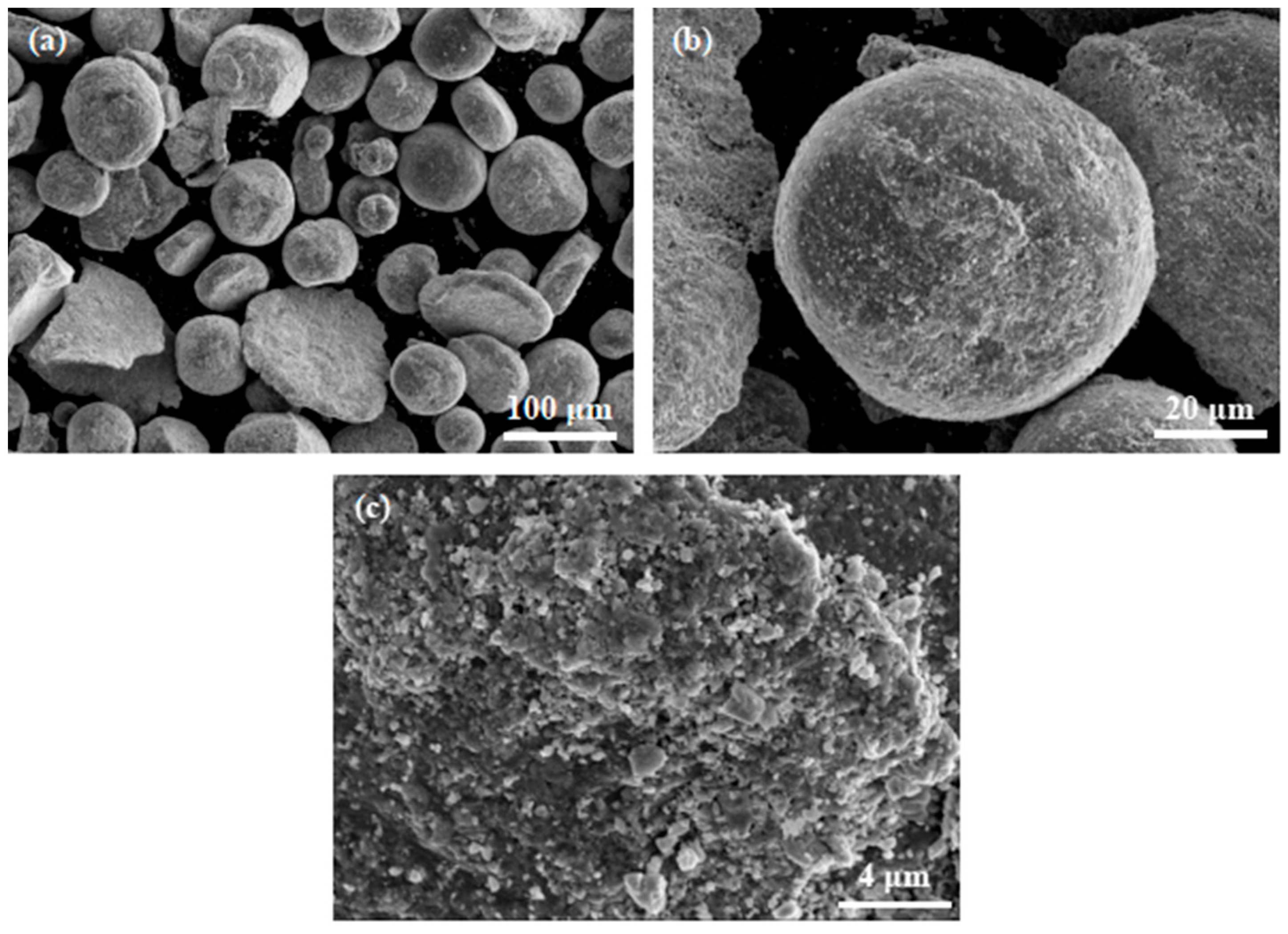 Micromachines 15 00104 g002