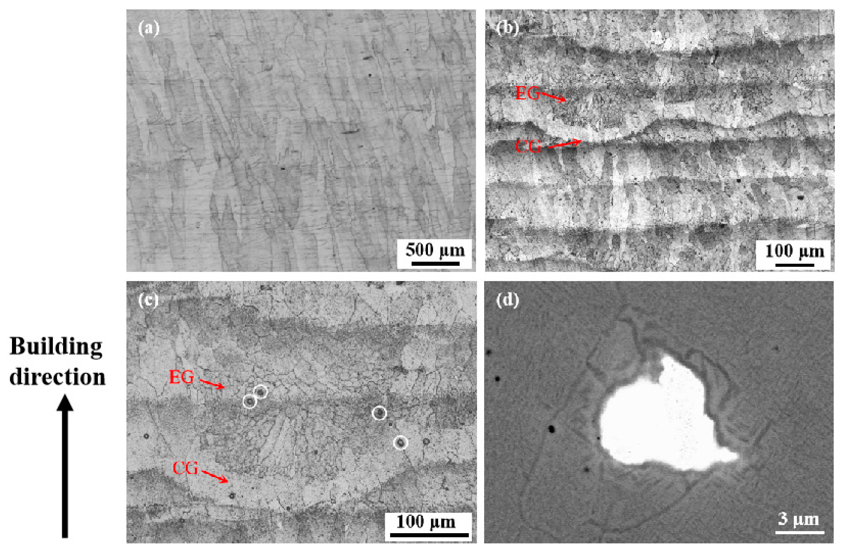 Micromachines 15 00104 g003