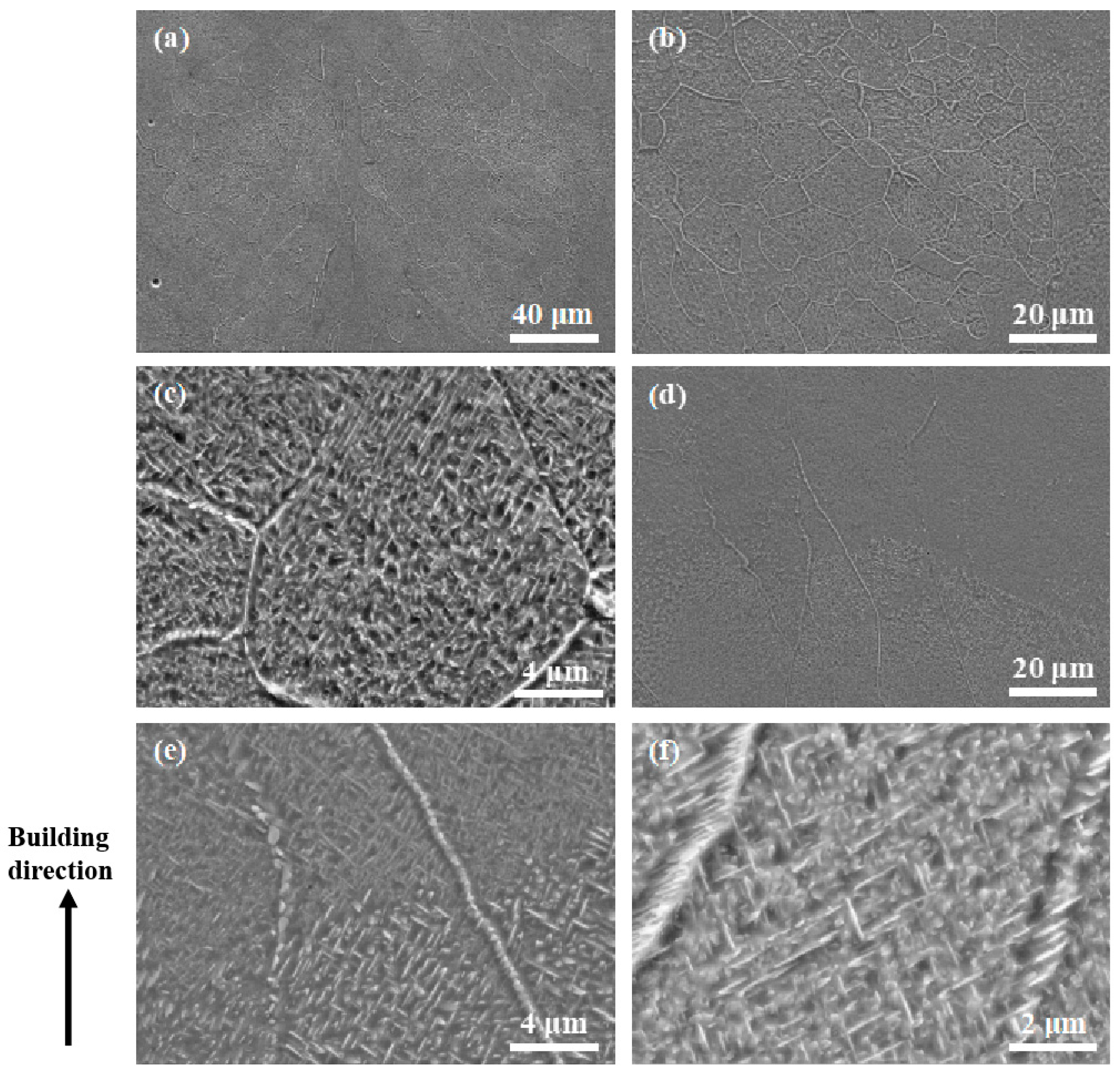Micromachines 15 00104 g004