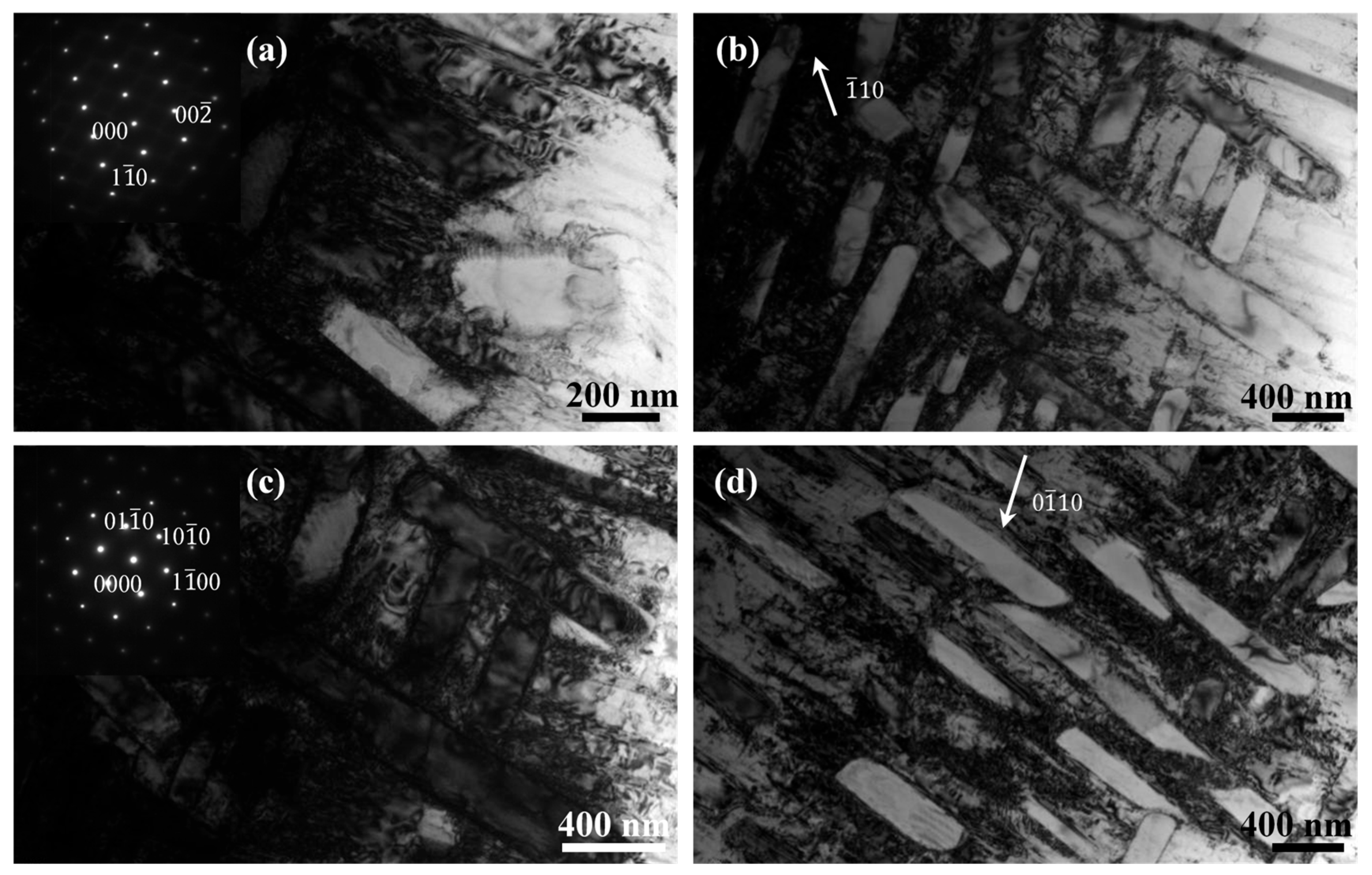 Micromachines 15 00104 g009