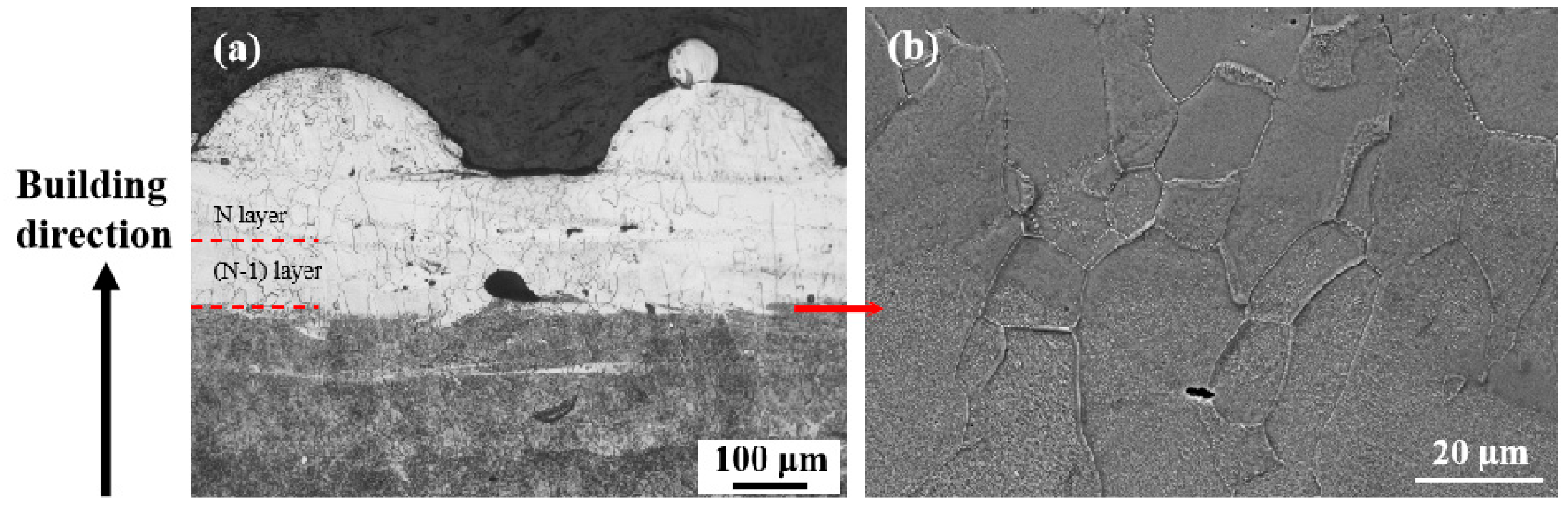 Micromachines 15 00104 g011