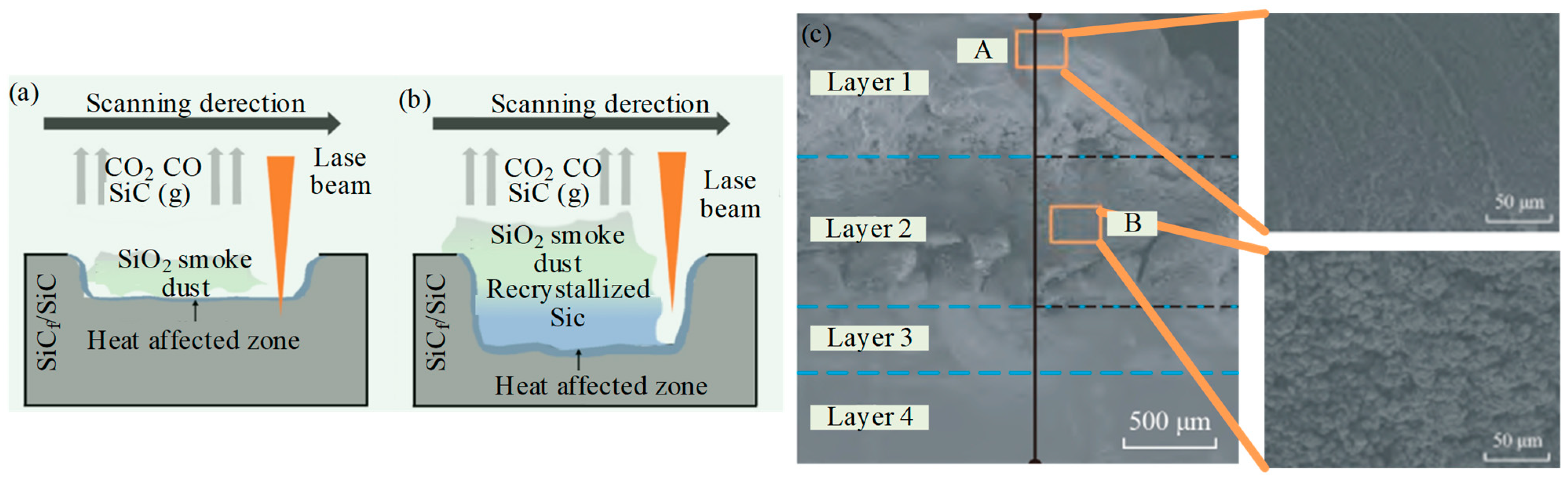 Micromachines 15 00106 g004