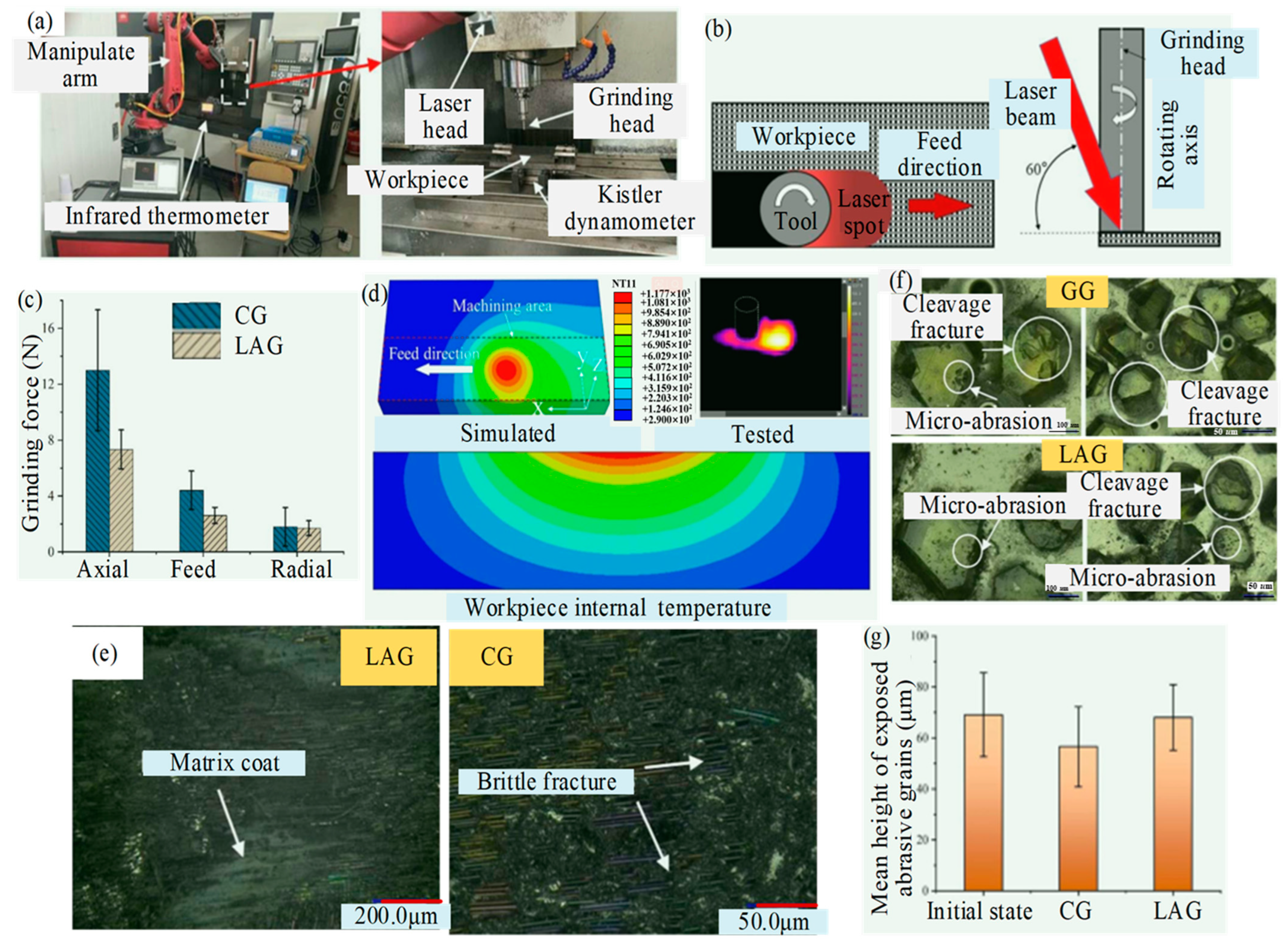 Micromachines 15 00106 g007