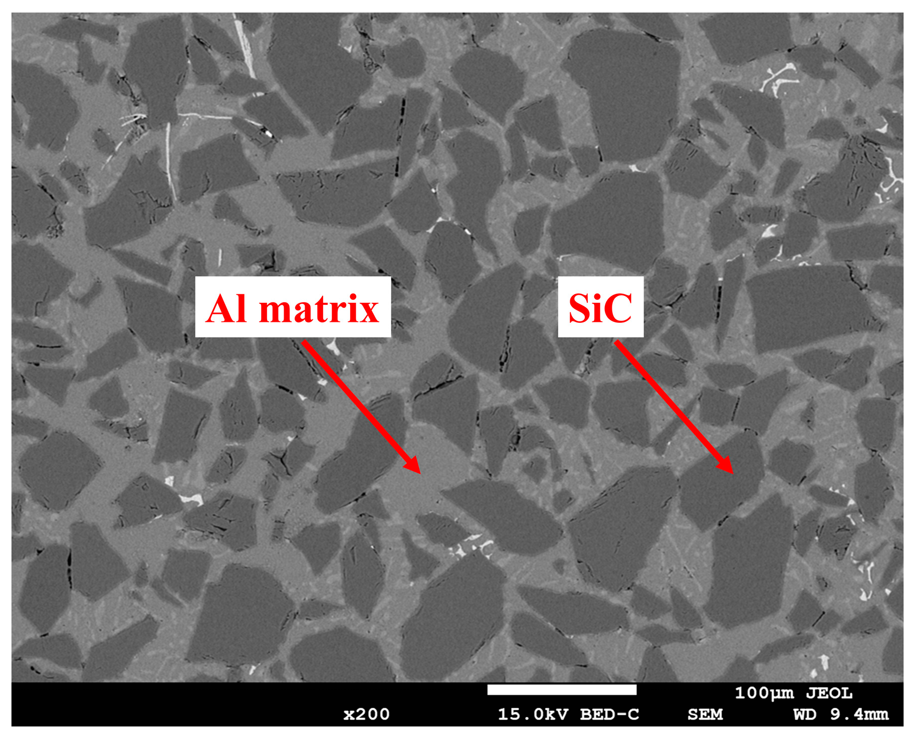Micromachines 15 00107 g001