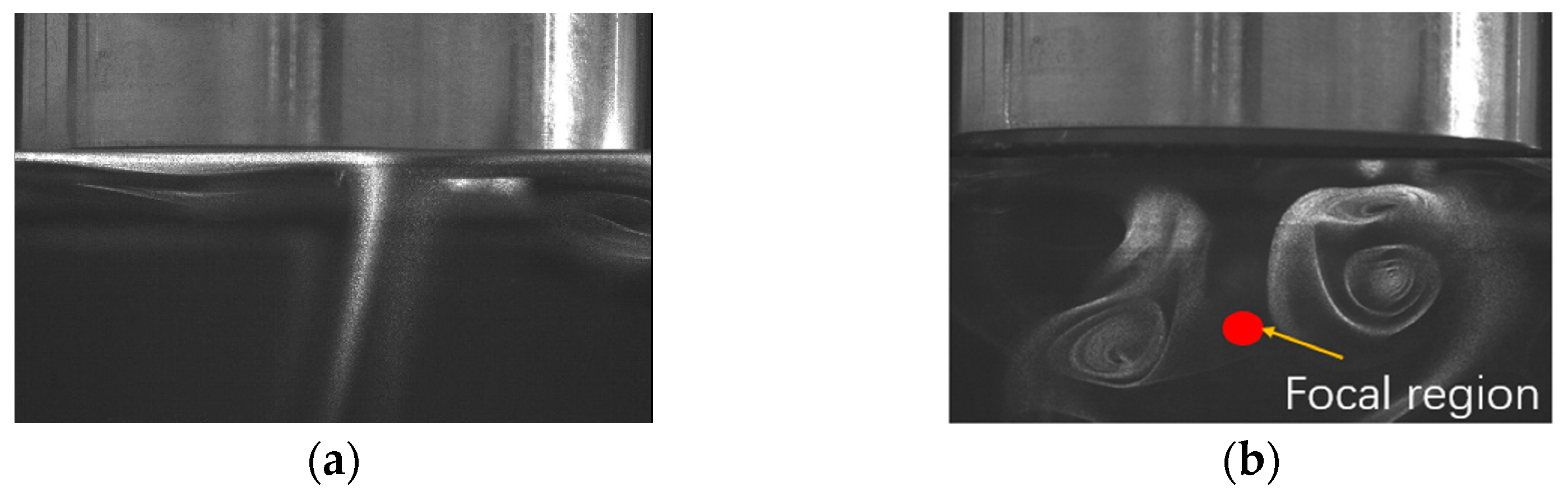 Micromachines 15 00116 g005