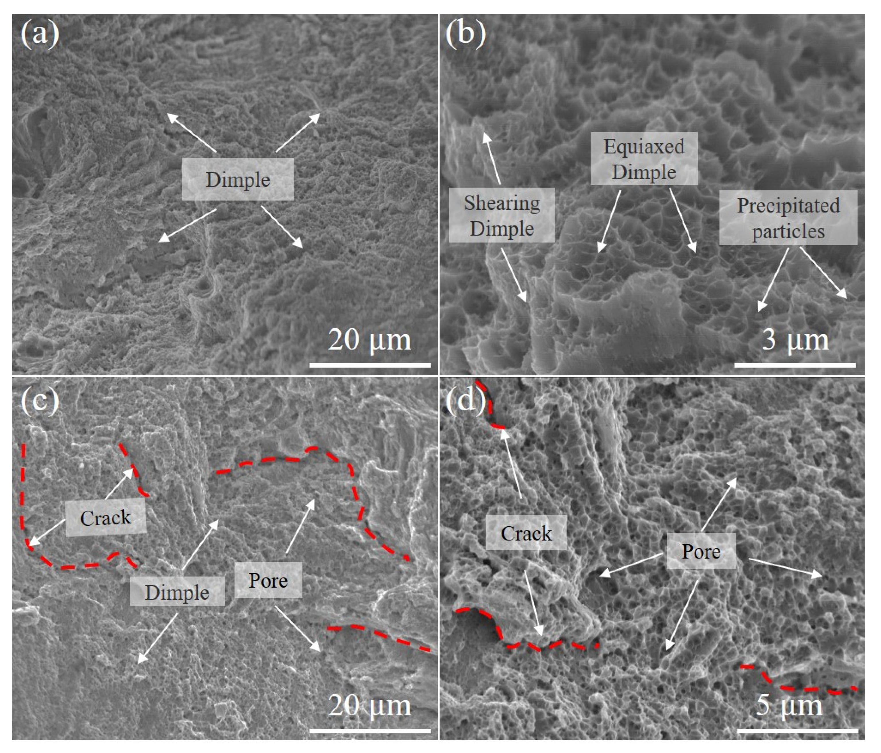 Micromachines 15 00123 g015