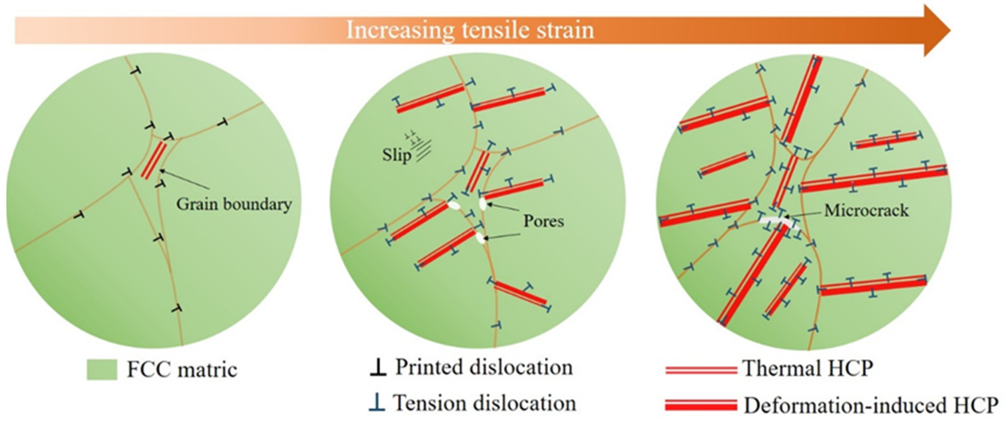 Micromachines 15 00123 g017