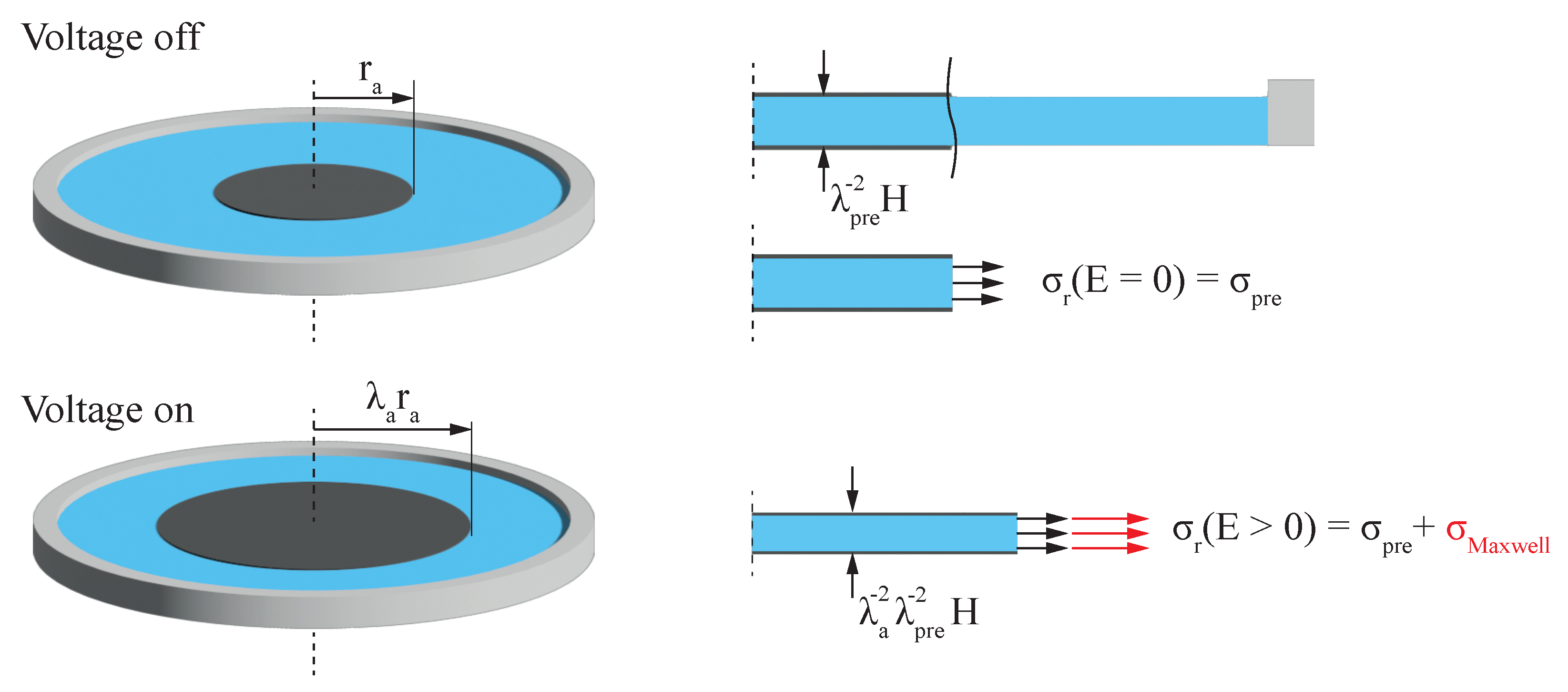 Micromachines 15 00125 g003