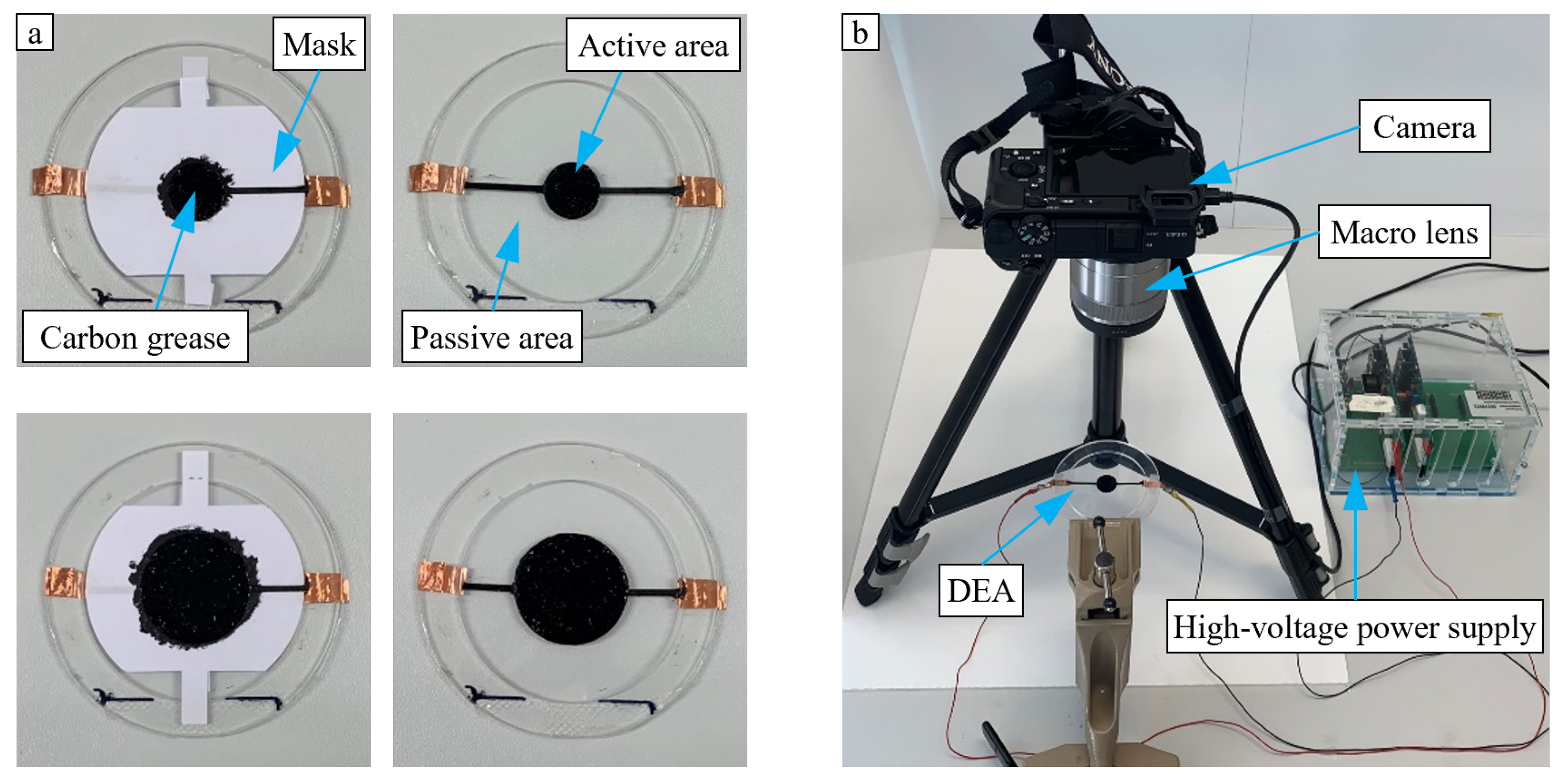 Micromachines 15 00125 g007