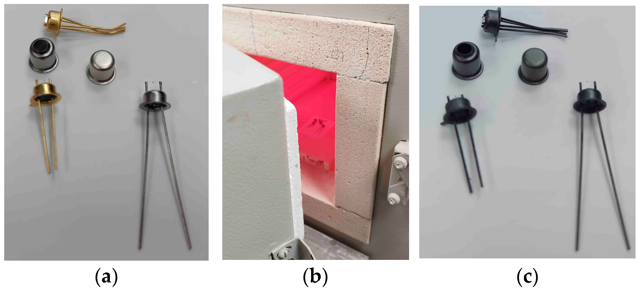 Micromachines 15 00138 g001
