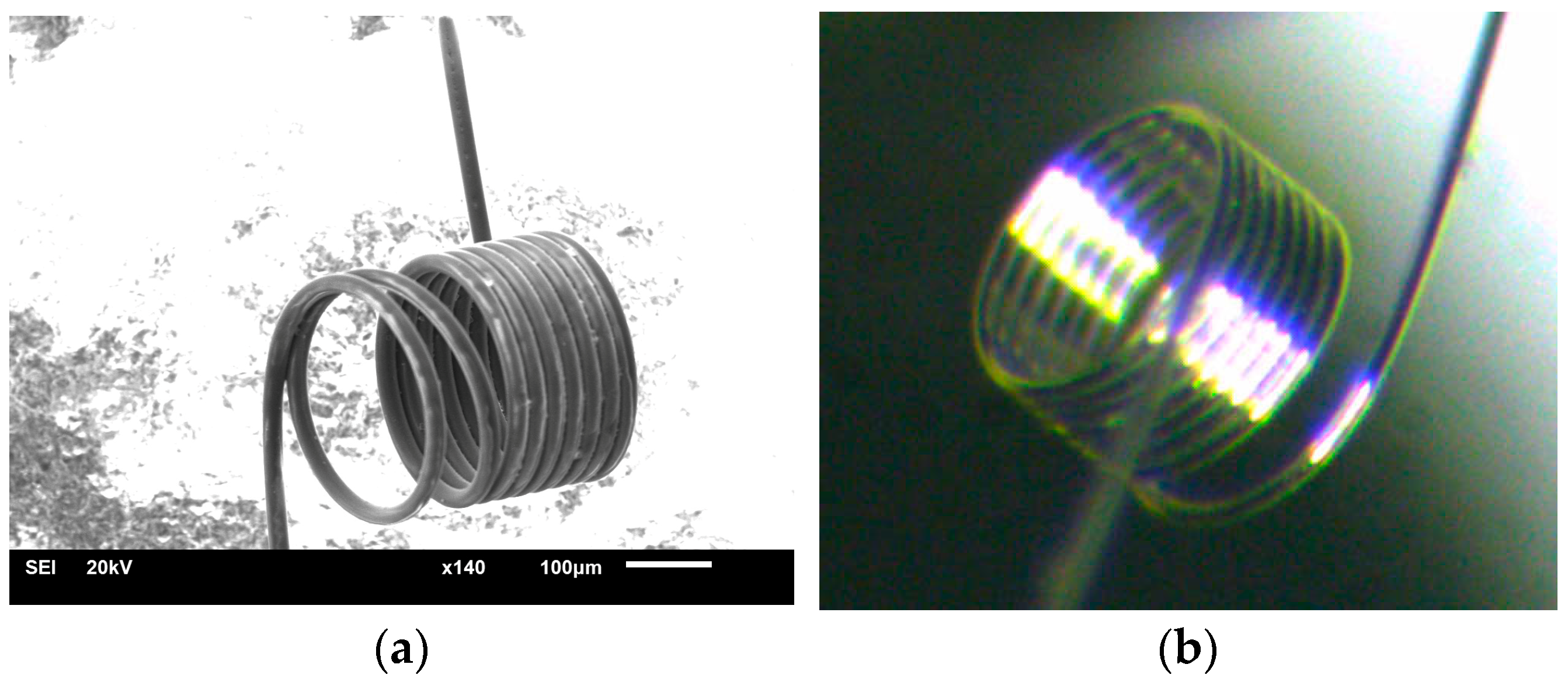 Micromachines 15 00138 g003