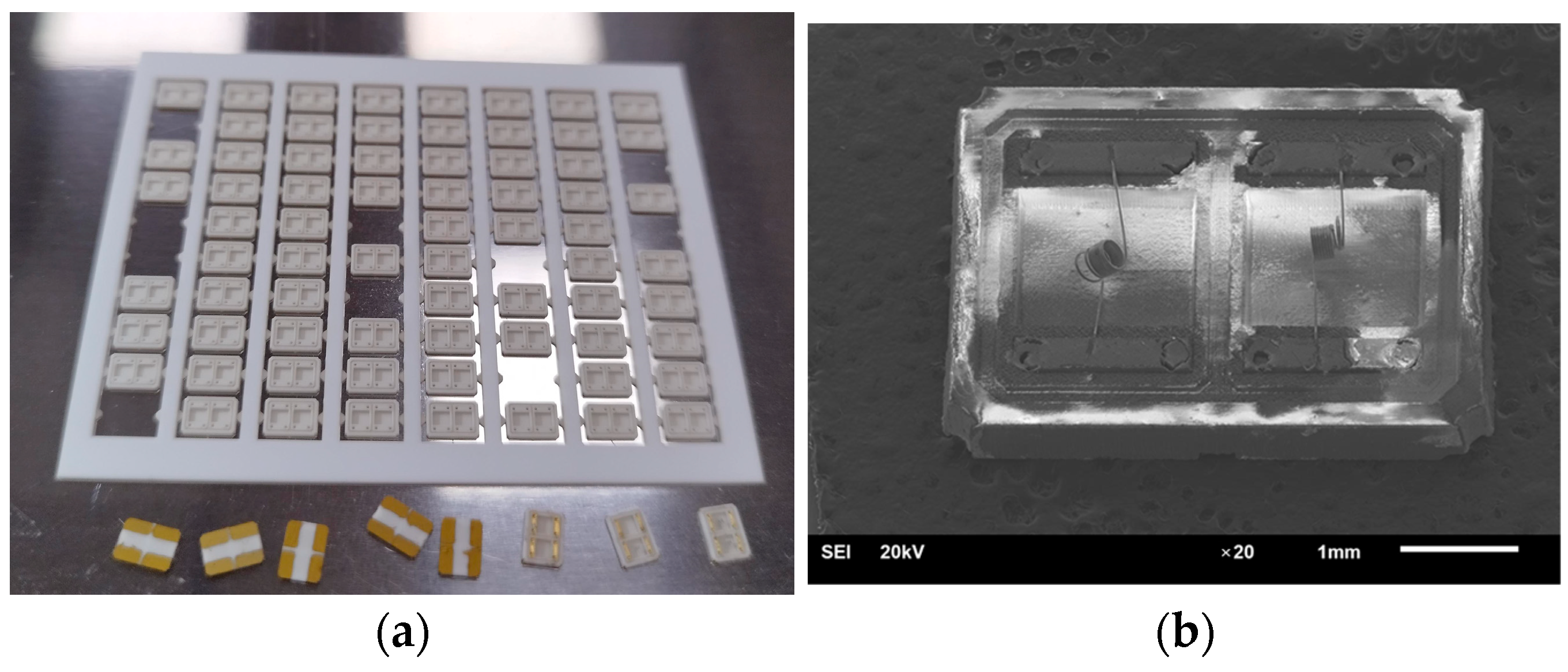 Micromachines 15 00138 g006