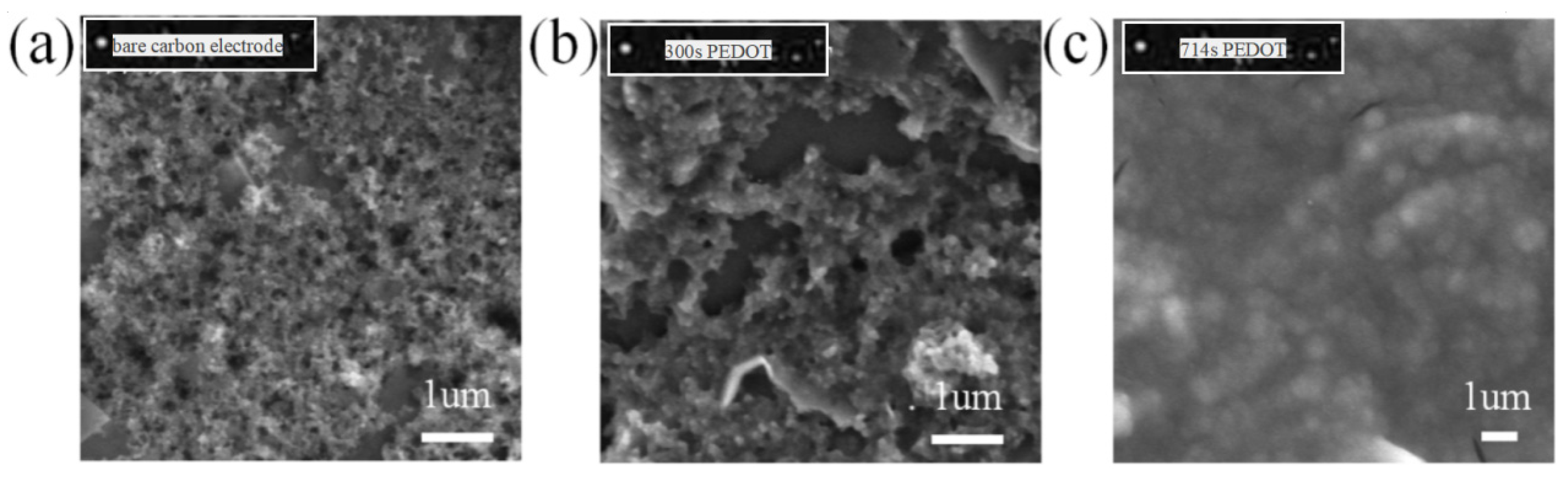 Micromachines 15 00160 g004 Micromachines 15 00160 g004