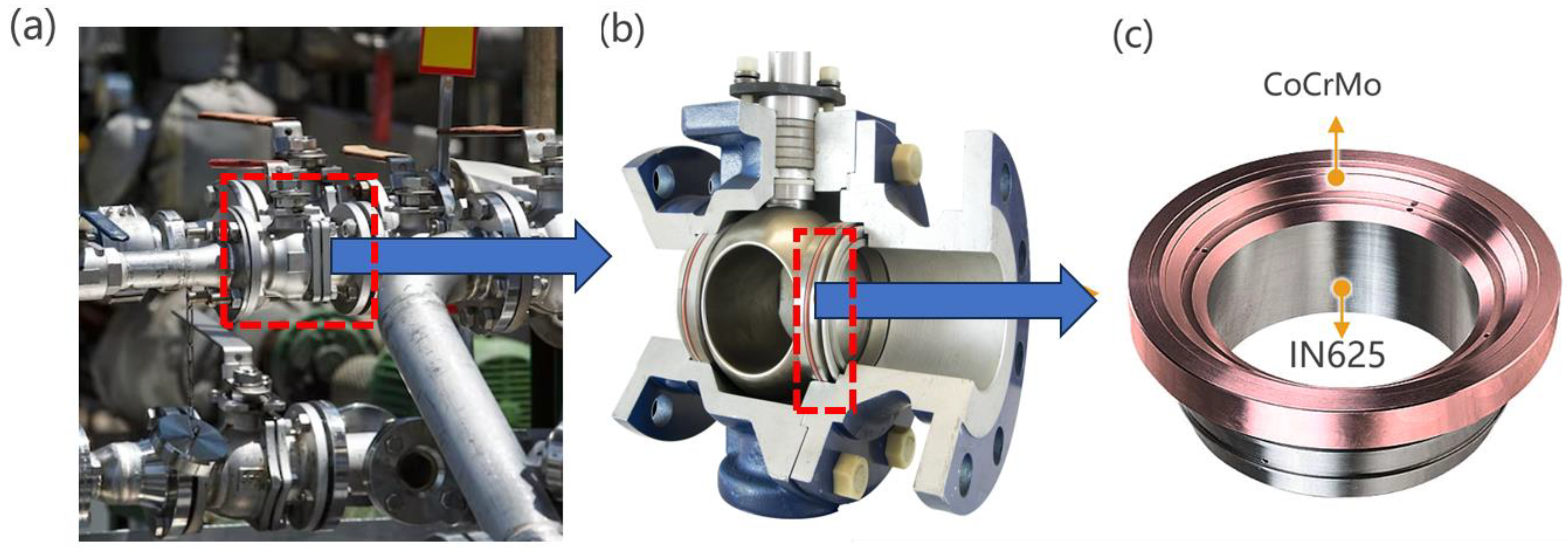 Micromachines 15 00162 g001
