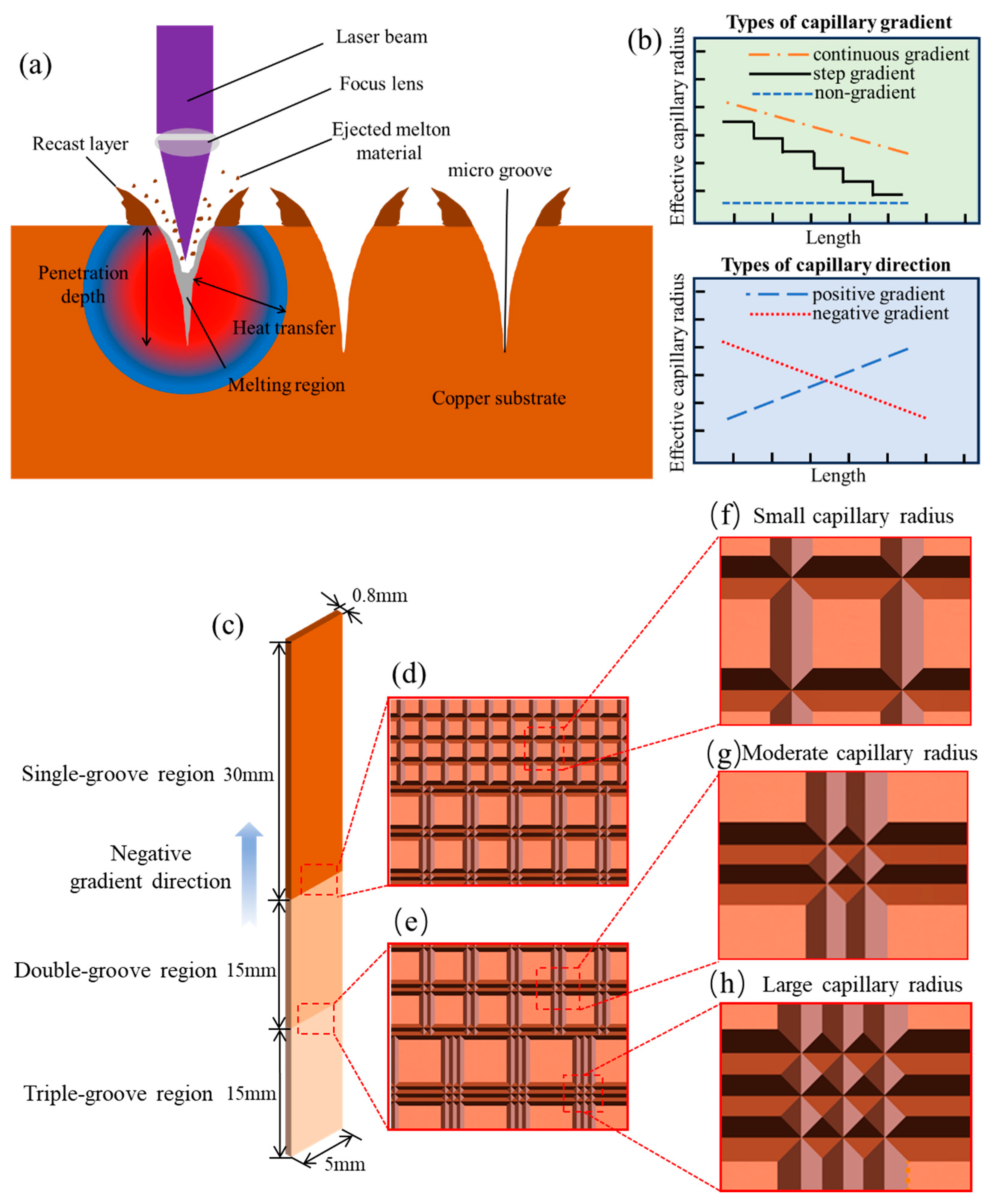 Micromachines 15 00165 g001