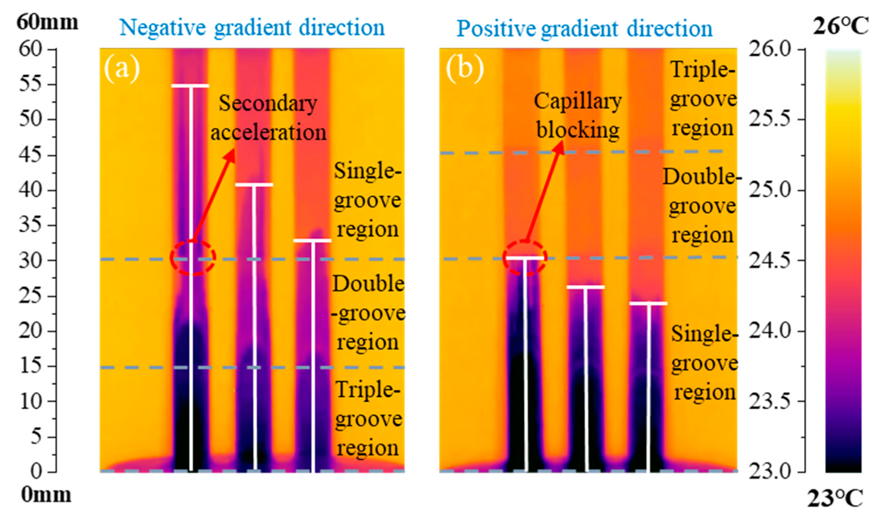 Micromachines 15 00165 g012