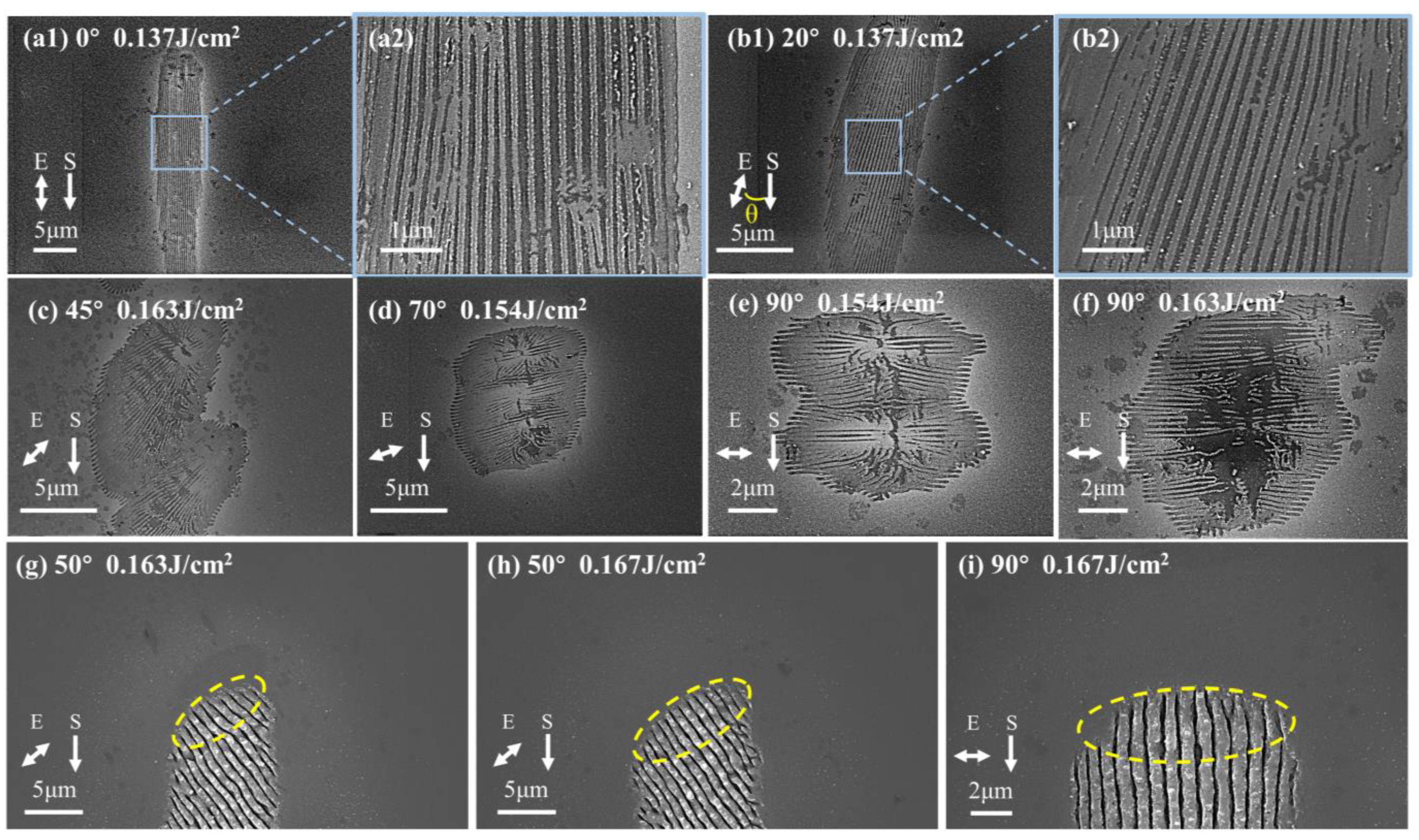 Micromachines 15 00200 g004