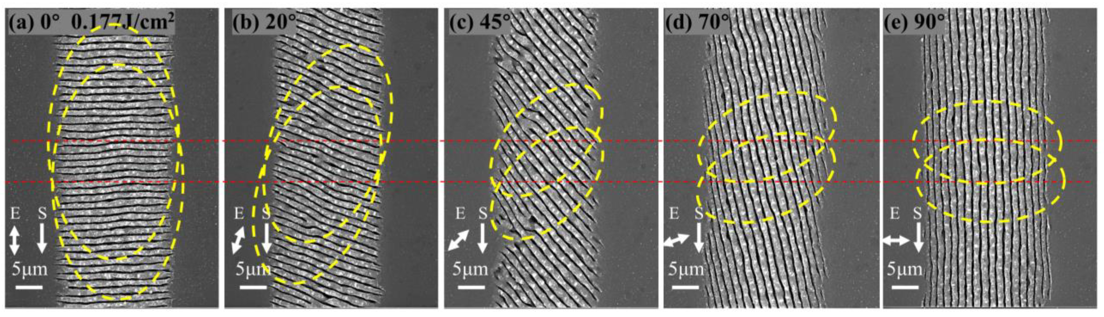 Micromachines 15 00200 g005