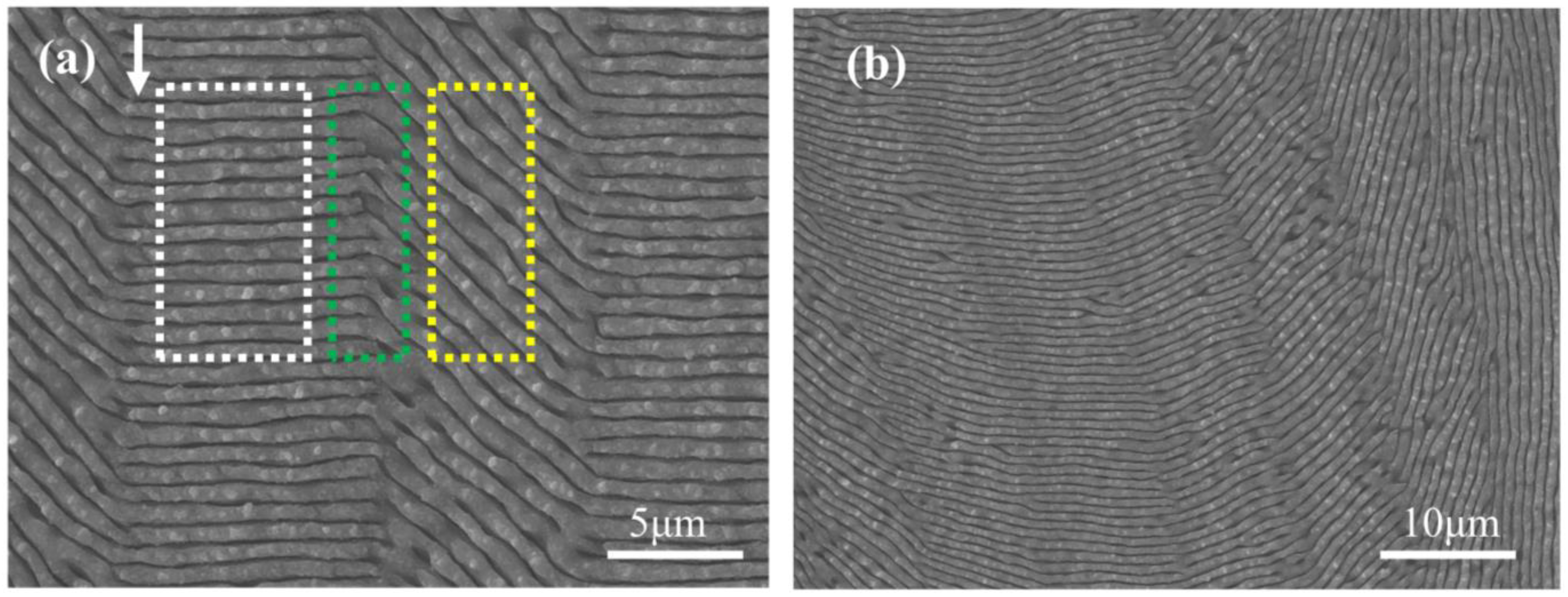 Micromachines 15 00200 g007