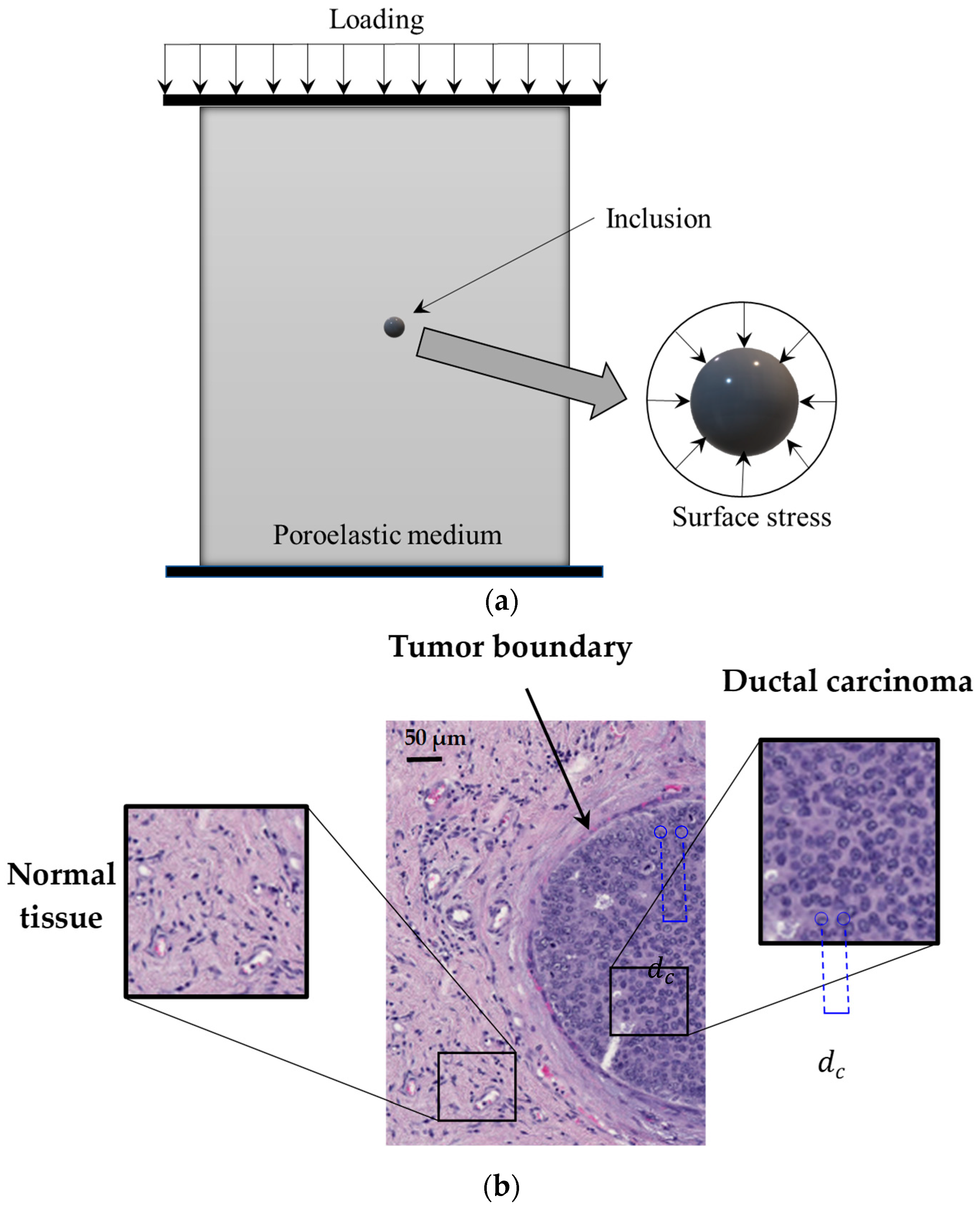 Micromachines 15 00210 g001
