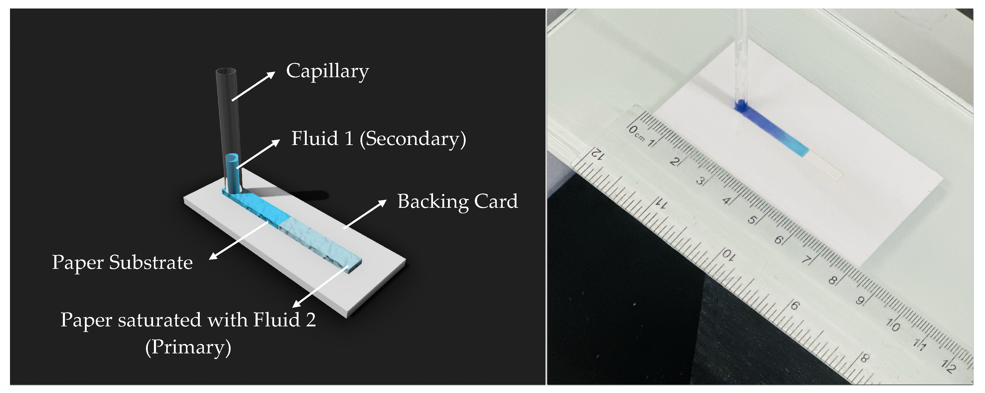 Micromachines 15 00212 g001