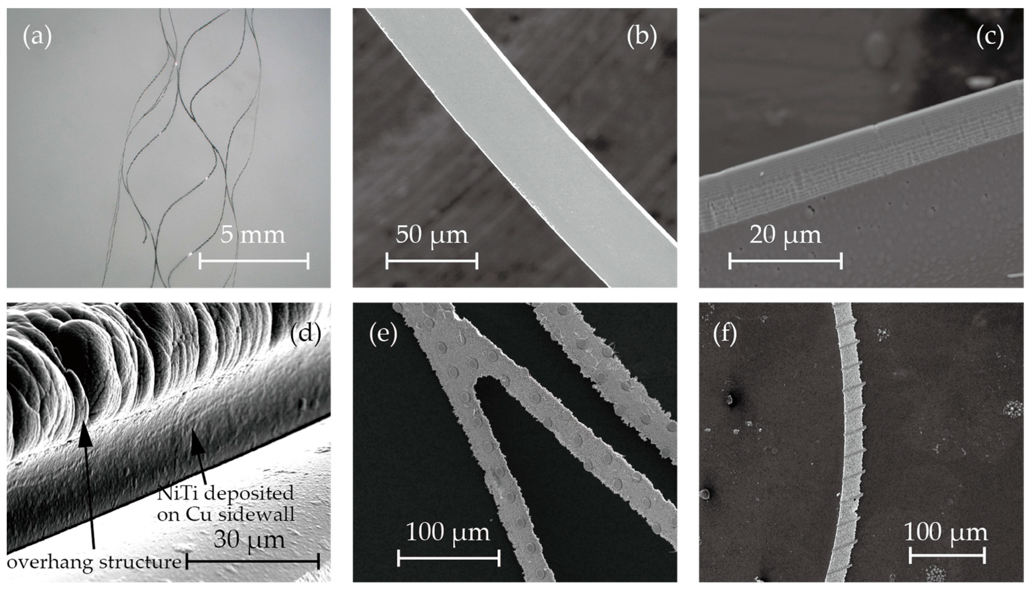 Micromachines 15 00213 g005