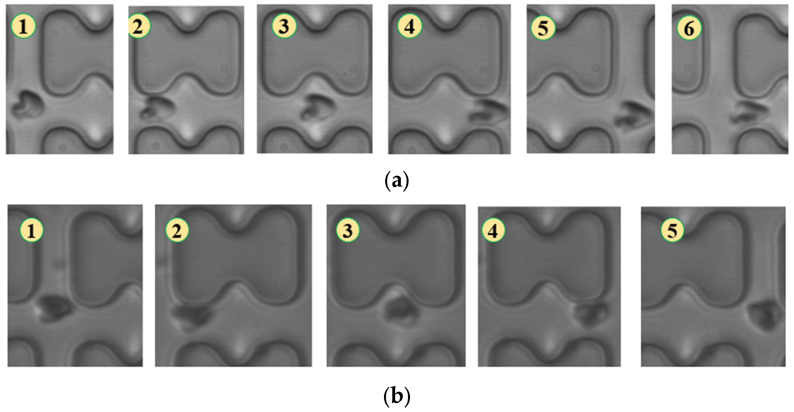 Micromachines 15 00214 g005