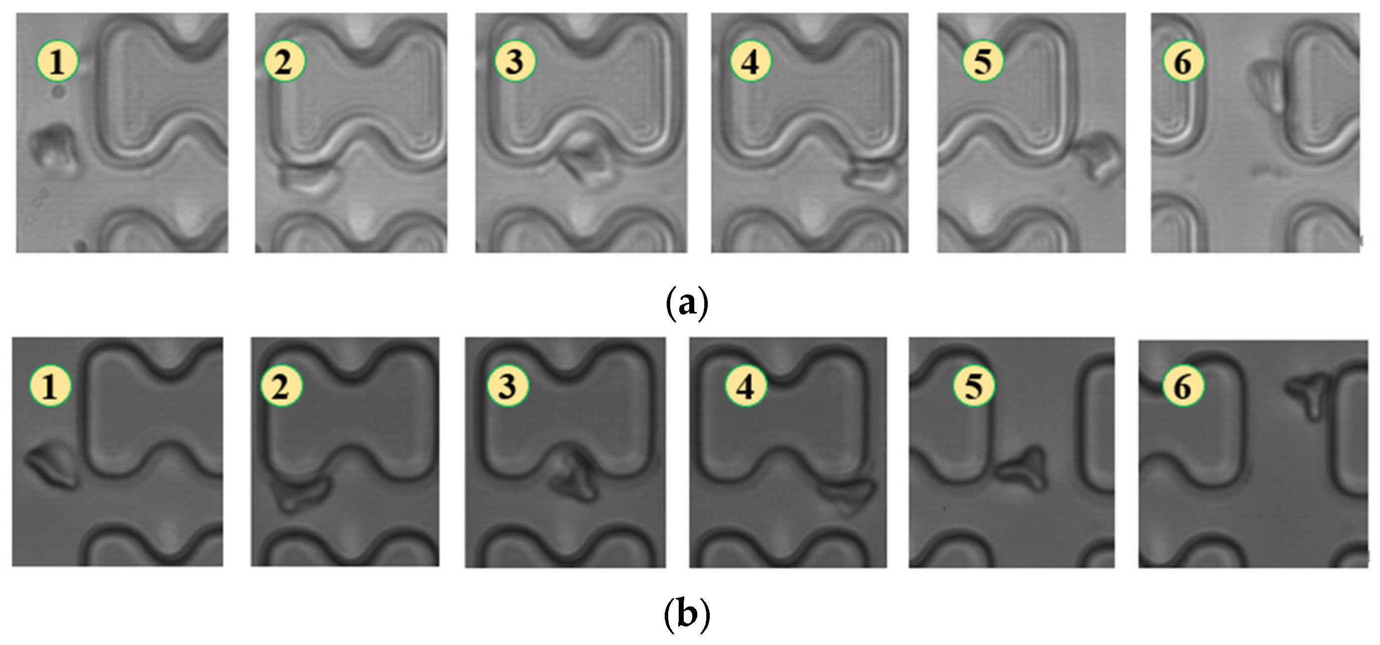Micromachines 15 00214 g006