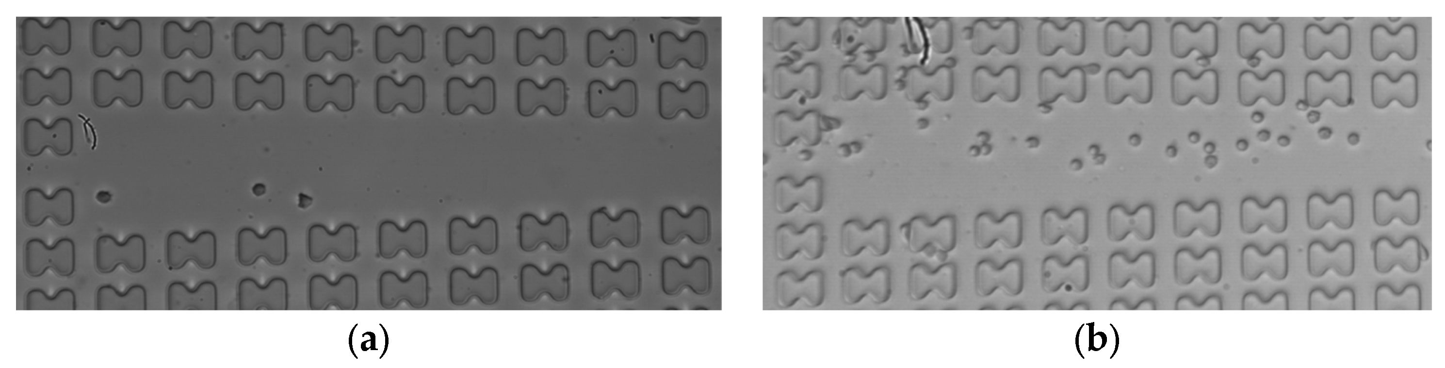 Micromachines 15 00214 g011