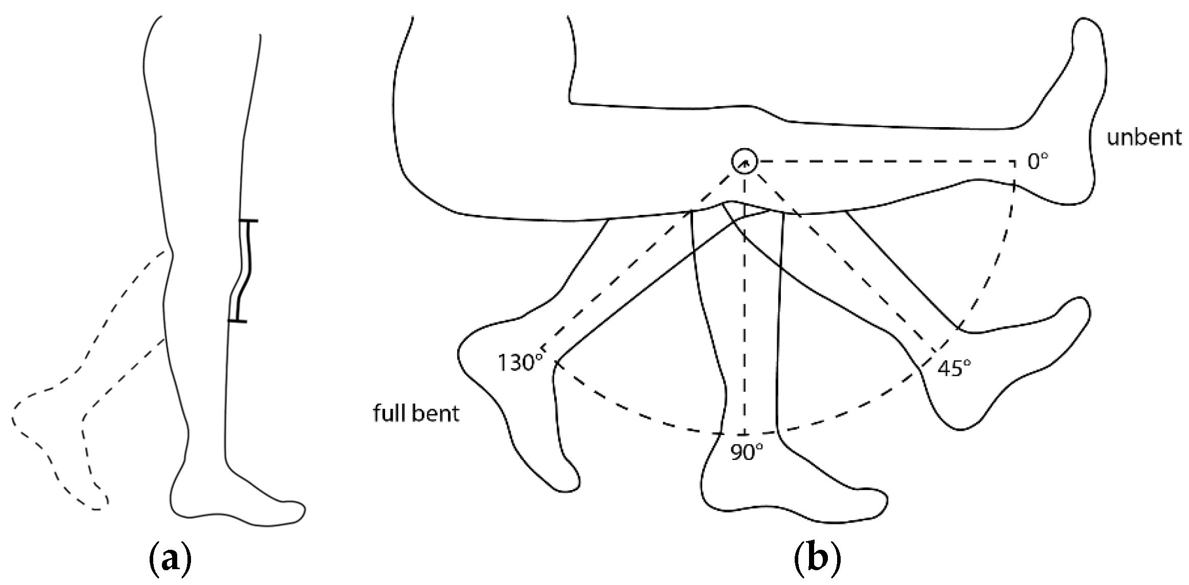 Micromachines 15 00222 g002
